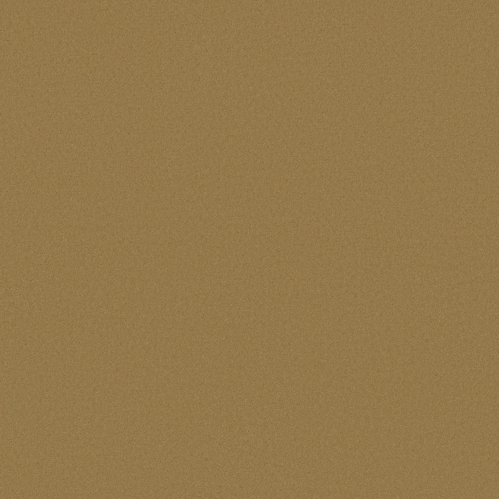 FINERY GOLD COIN MAIN