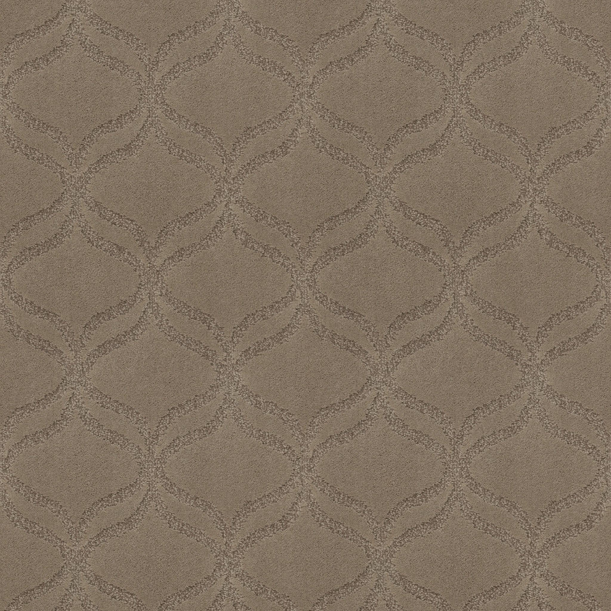 APPRECIATION DUNDEE MAIN