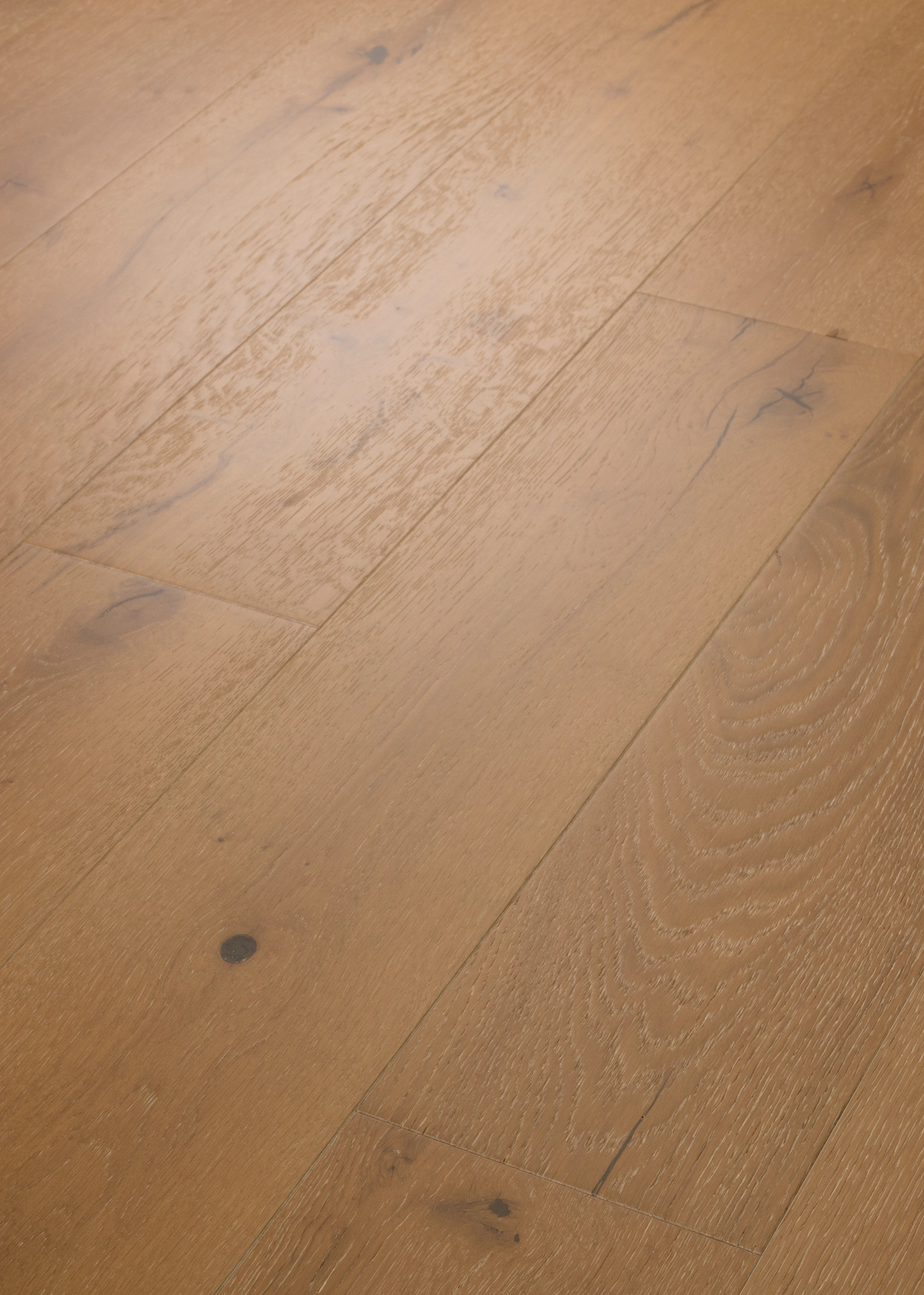 CASTLEWOOD OAK BAROQUE ANGLED