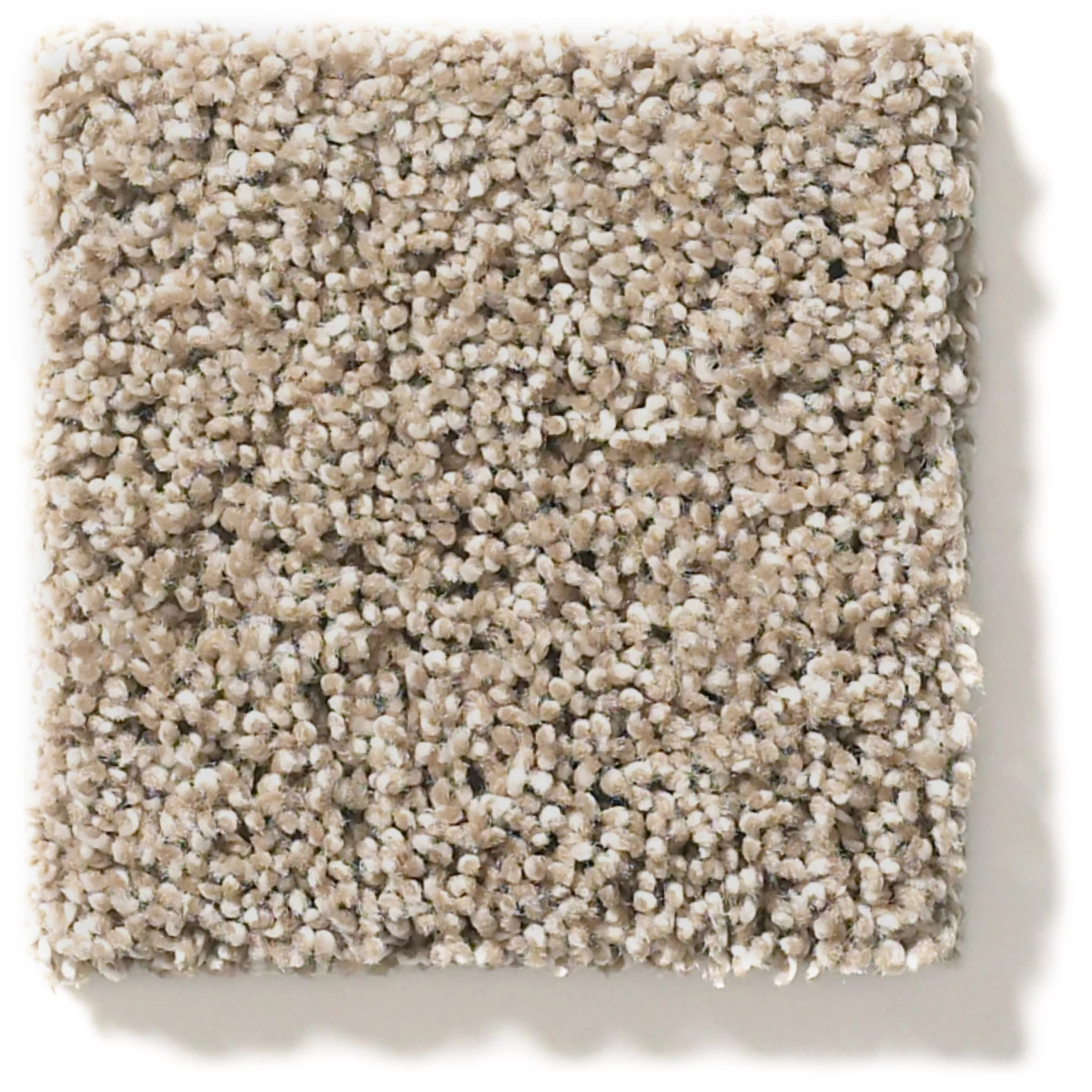 OCEAN VIEW MUSHROOM SWATCH