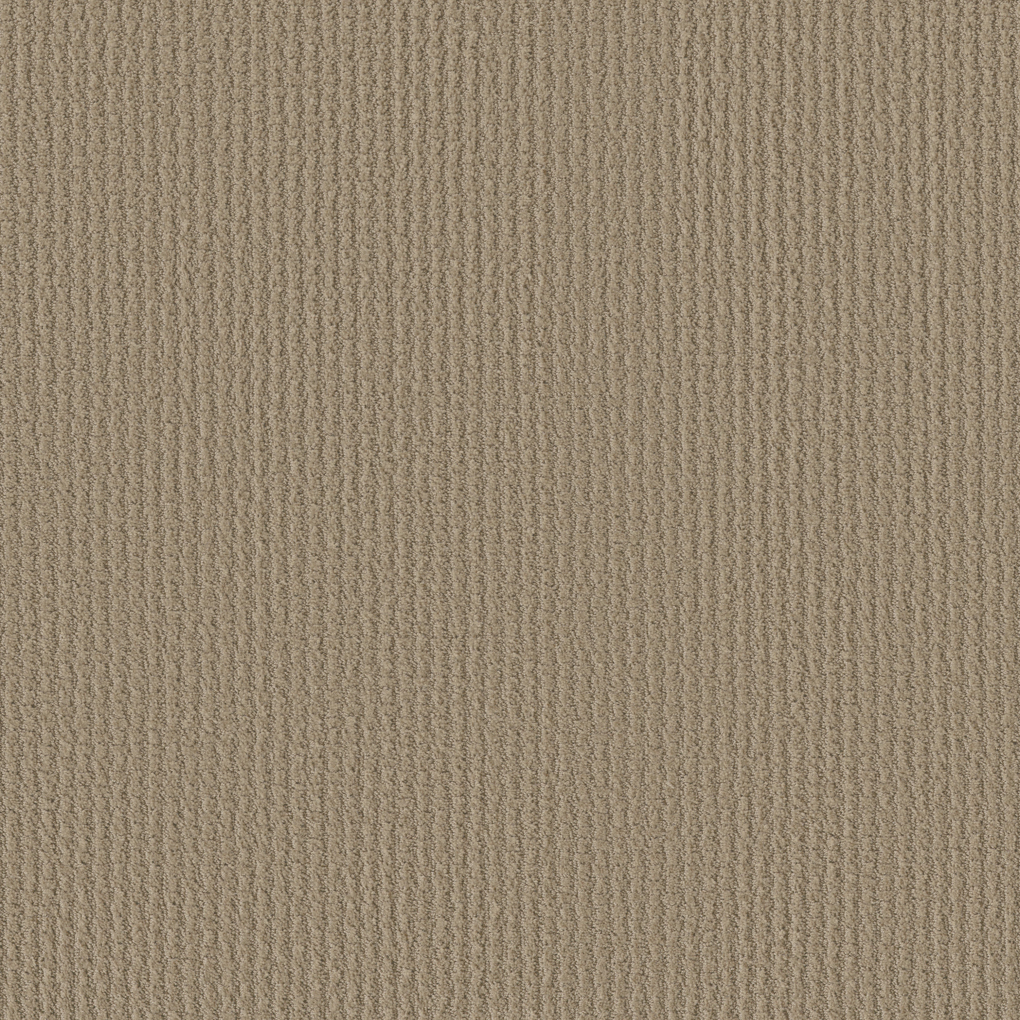 COMPLETE CONTROL BISCOTTI MAIN