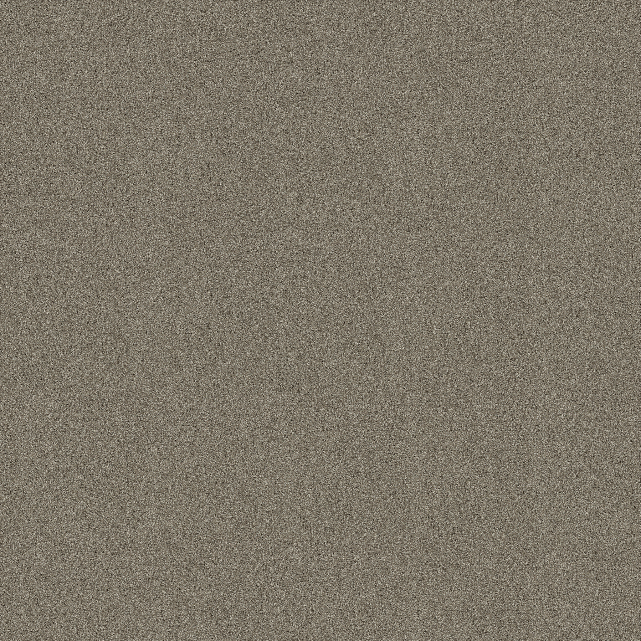 ACADIA PARK ELUSIVE MAIN