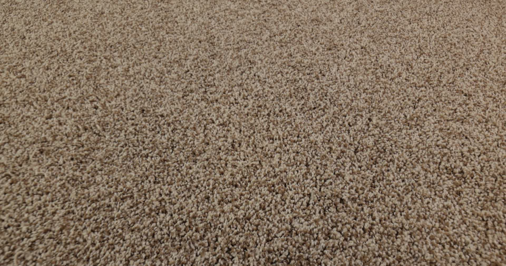 MIRA NOVA NUTSHELL 360PROD