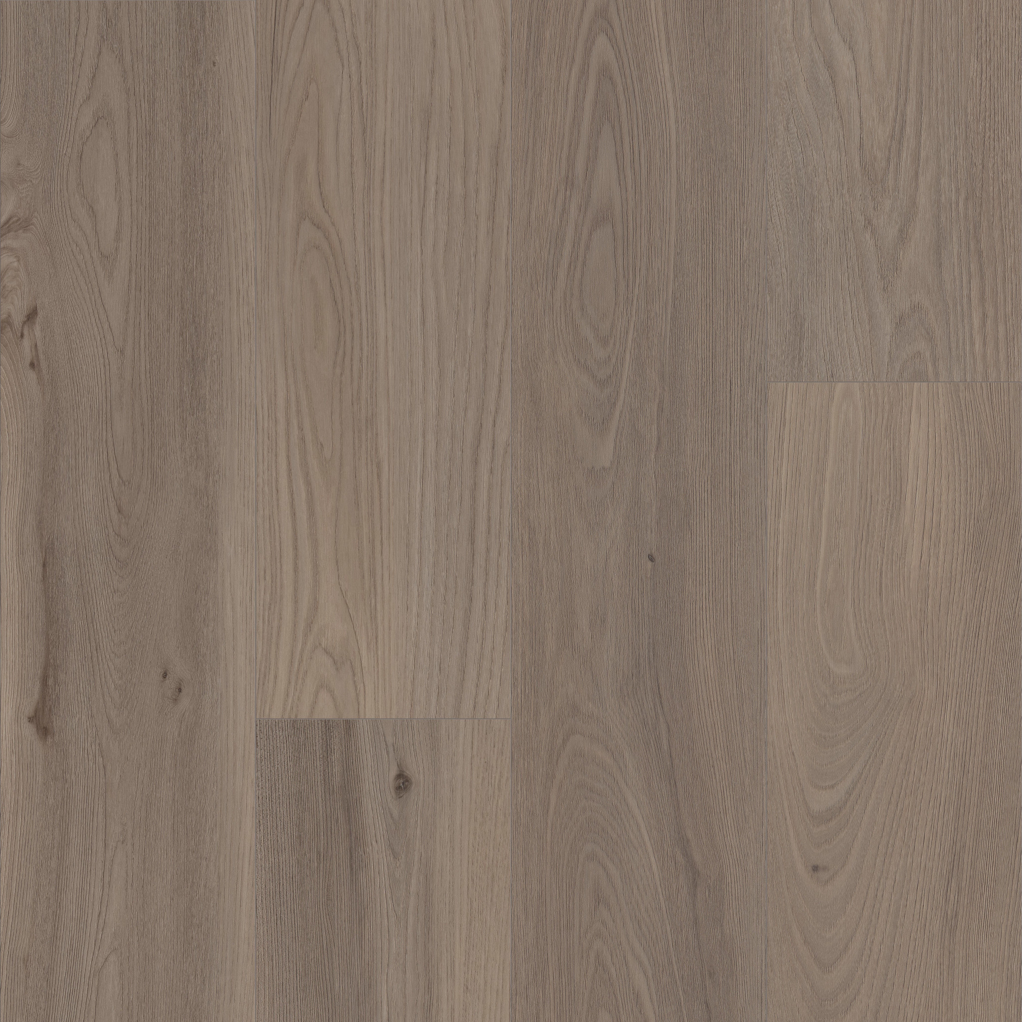 CORETEC PRO ENHANCED VV491 LONDON ELM MAIN