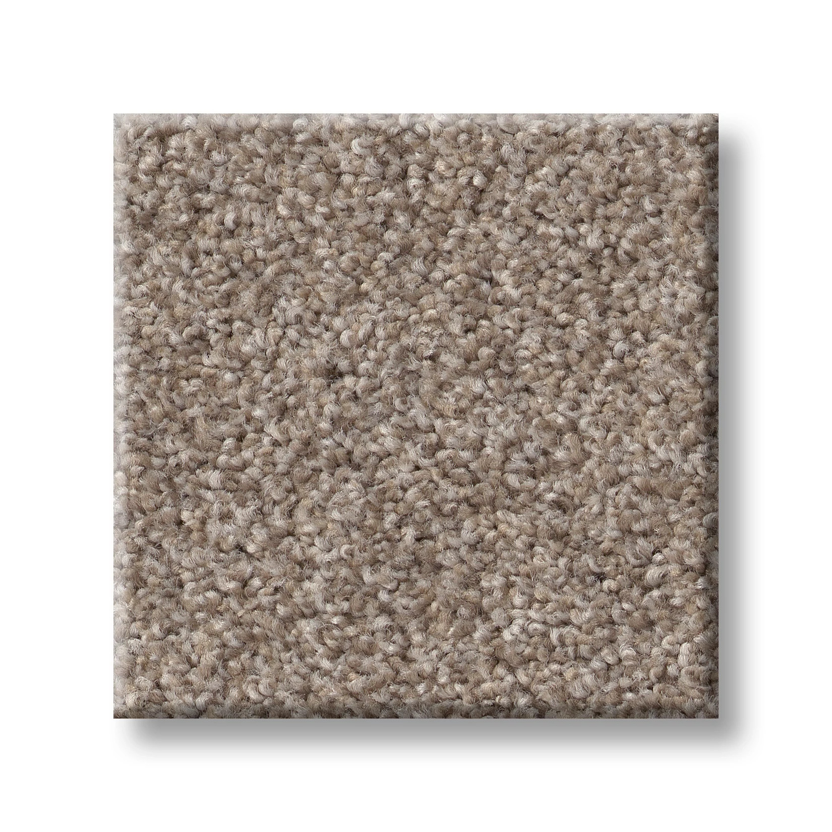 Live on Comfort CARRIAGE HOUSE SWATCH