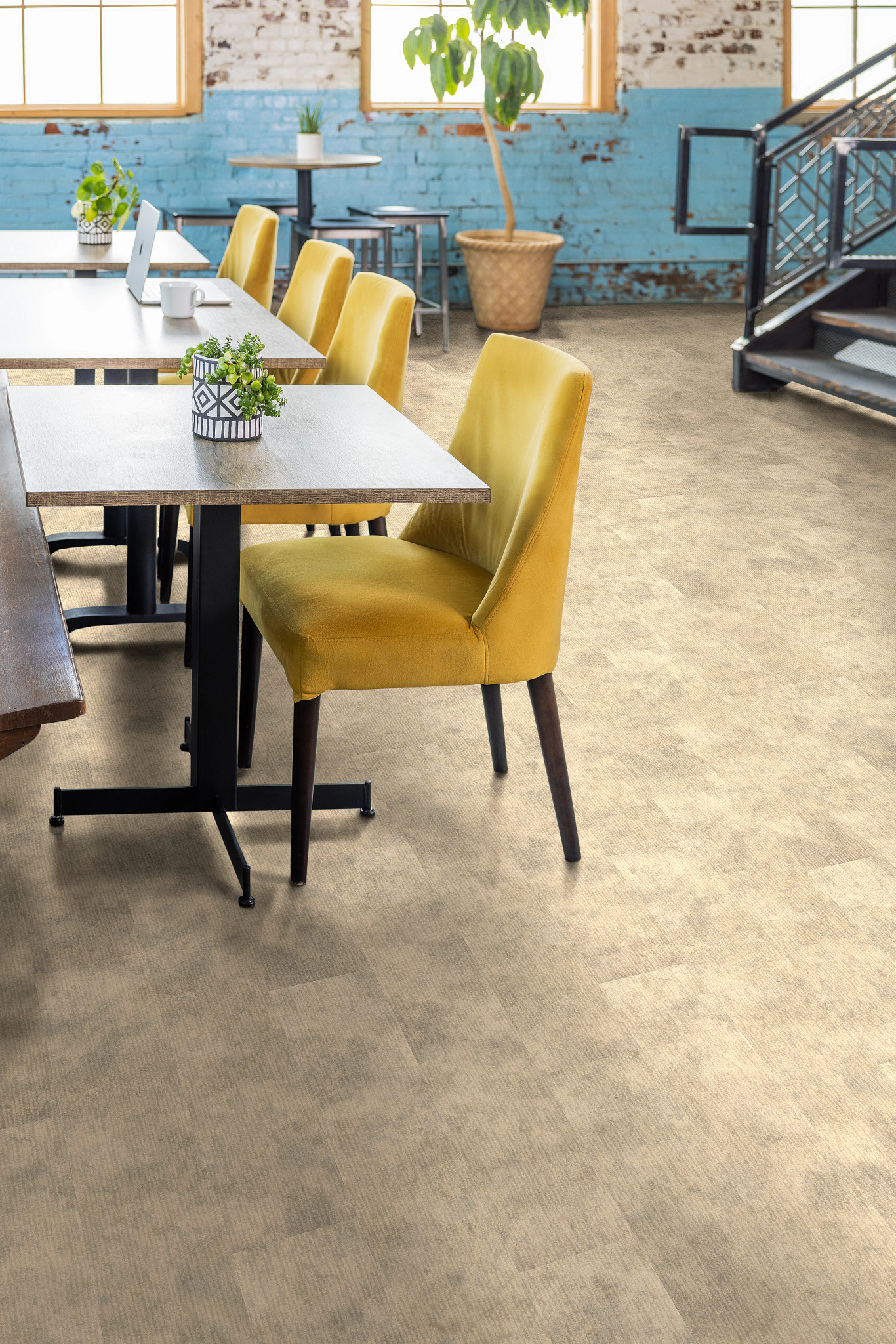 CODEX-5609V-MESMERIZE-02068-room-image