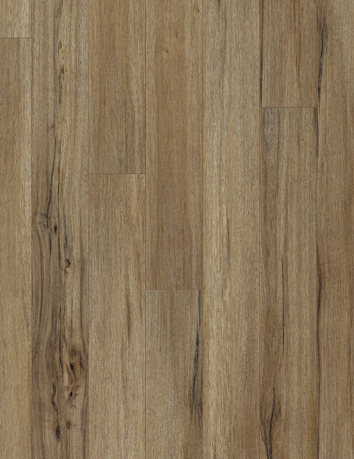 Baywood Oak