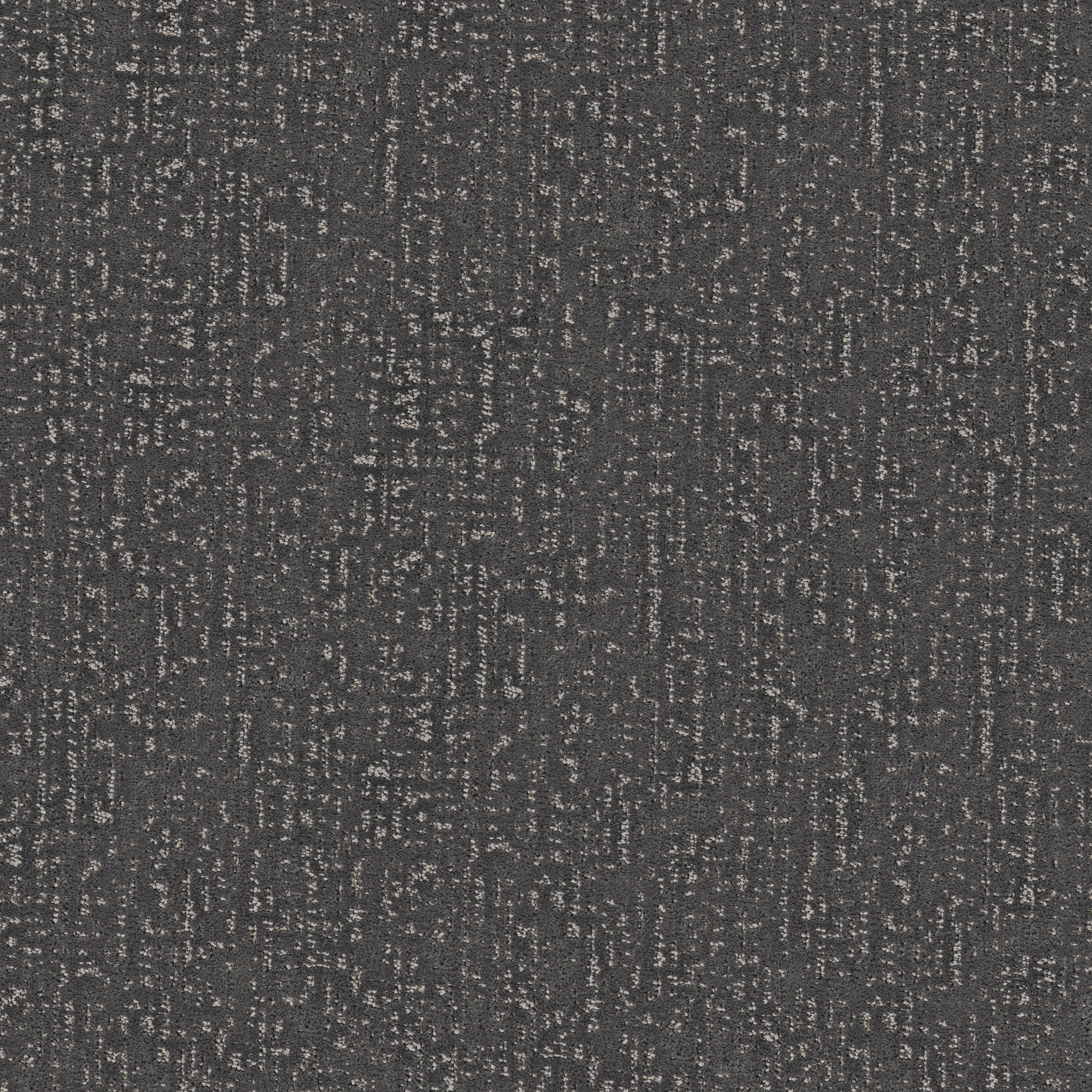 CURATED TONE MYSTERIOUS MAIN