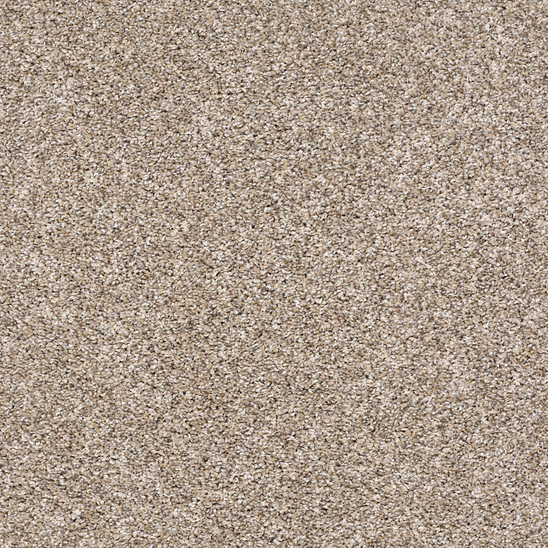 AFTER IT II in Neutral Ground by Shaw Floors