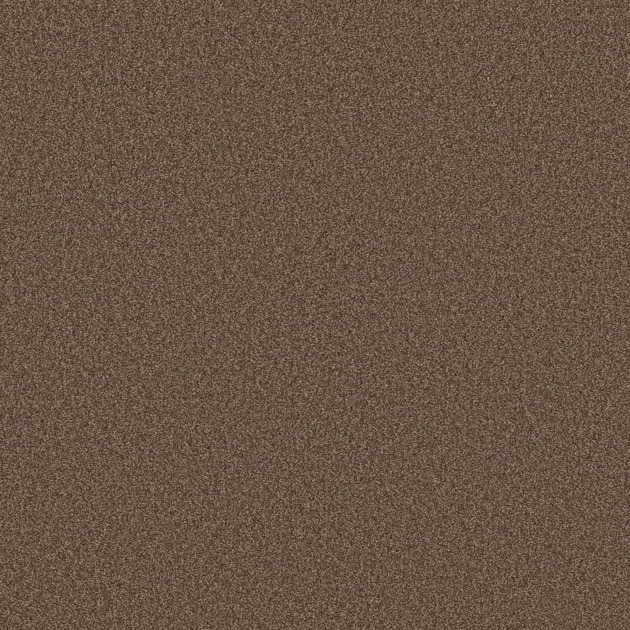 TONAL COMFORT I CLIFF HIKING MAIN