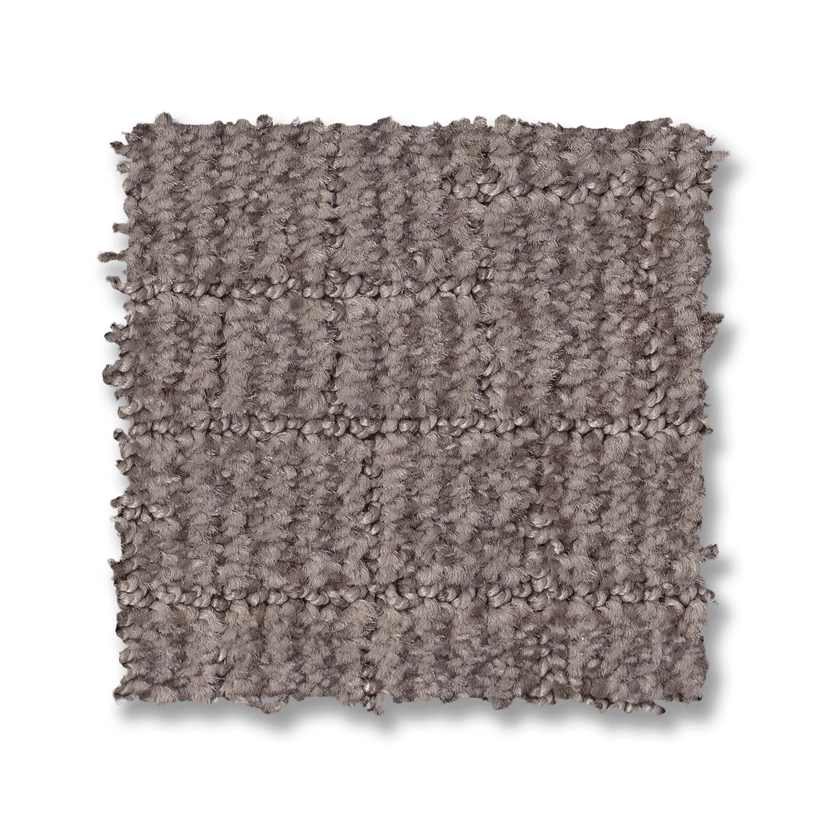 WAYFARER STONISH SWATCH