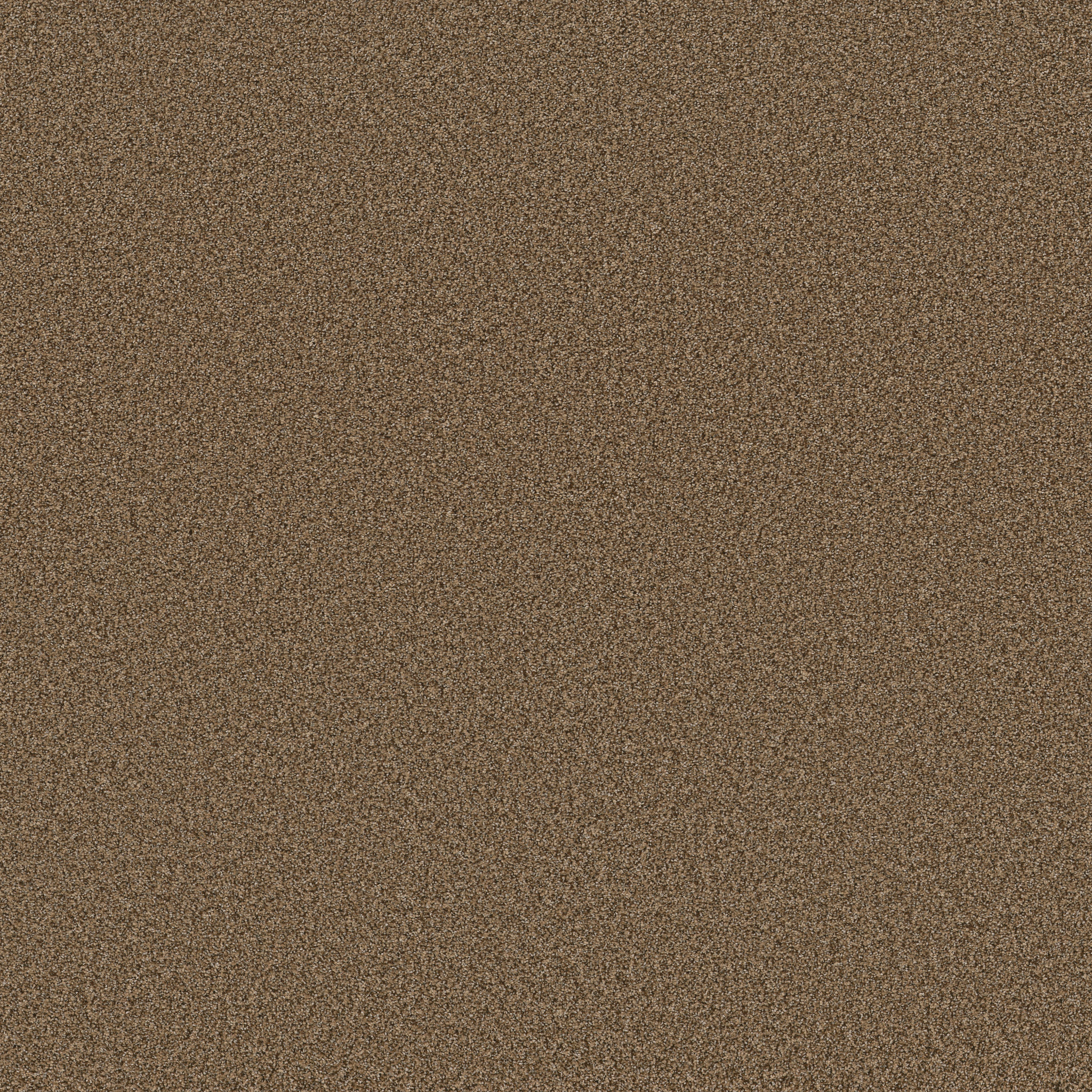 FABULOUS NUTSHELL MAIN