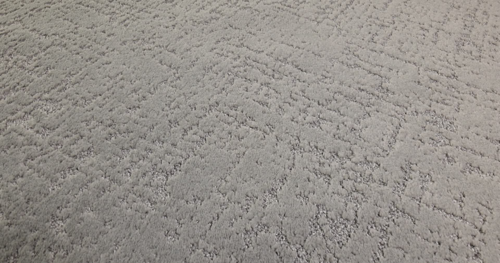 SINCERE FOCUS ANCHOR 360PROD