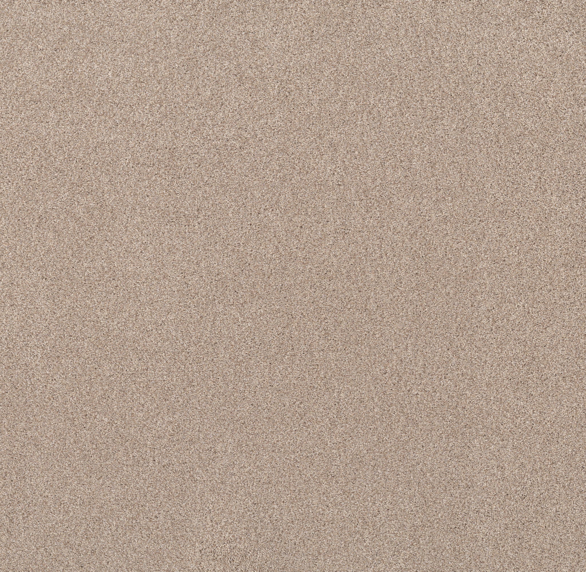 Live on Comfort PALM DESERT MAIN