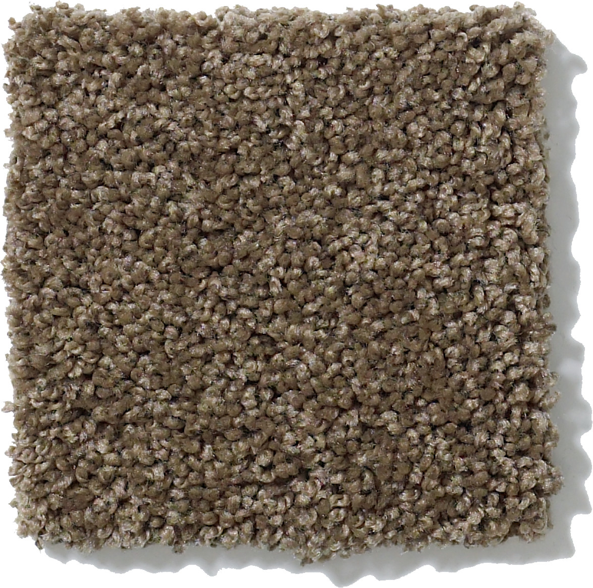 BEST BASICS TOWNHOUSE SWATCH