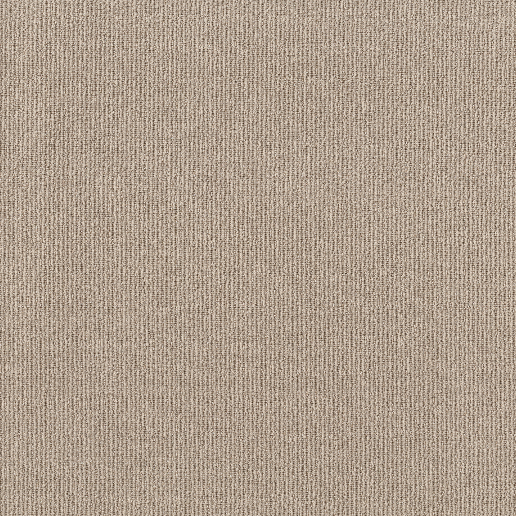 FEISTY BERMUDA SAND MAIN