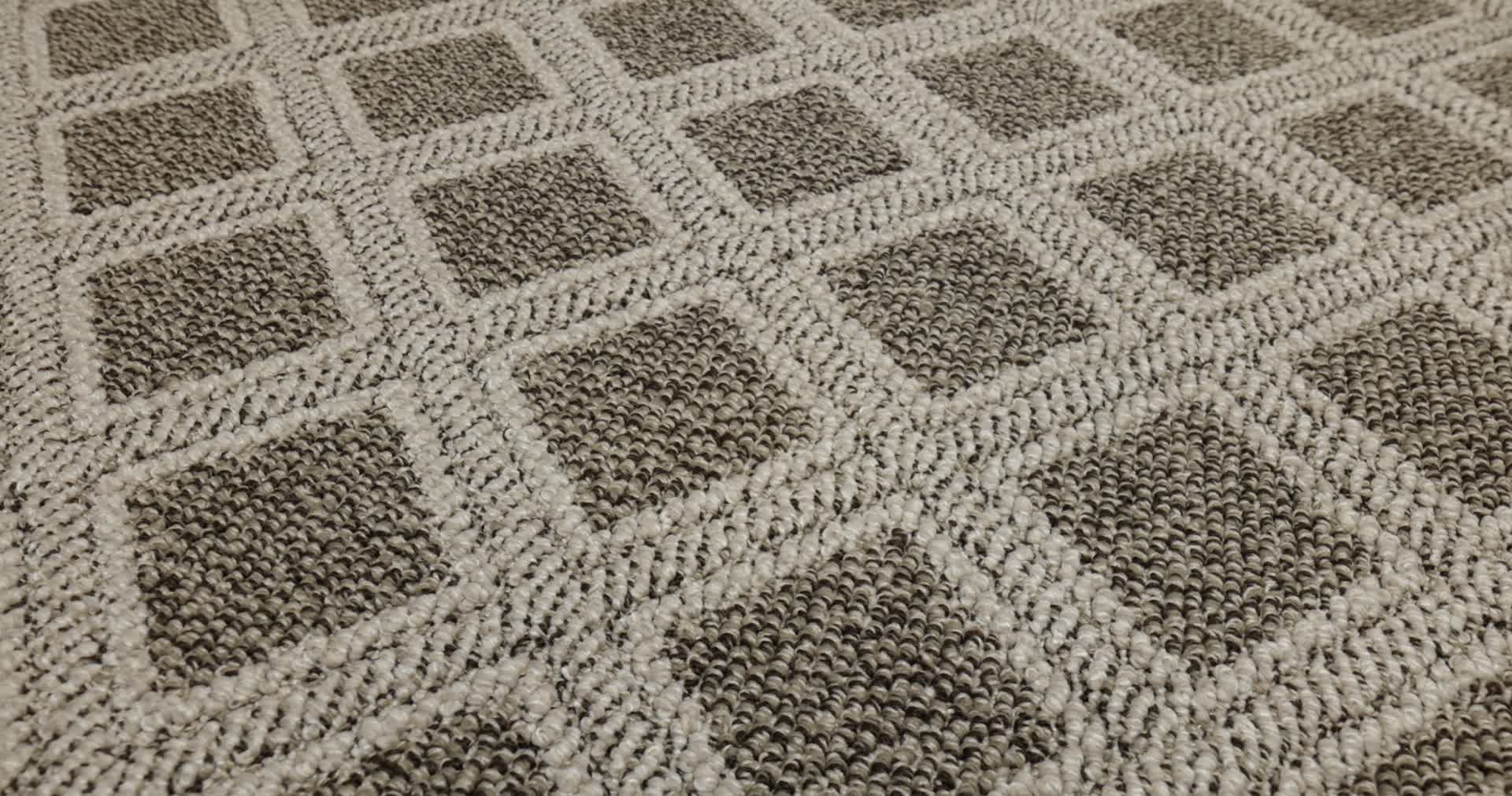 SCOUT DESERT PALM 360PROD