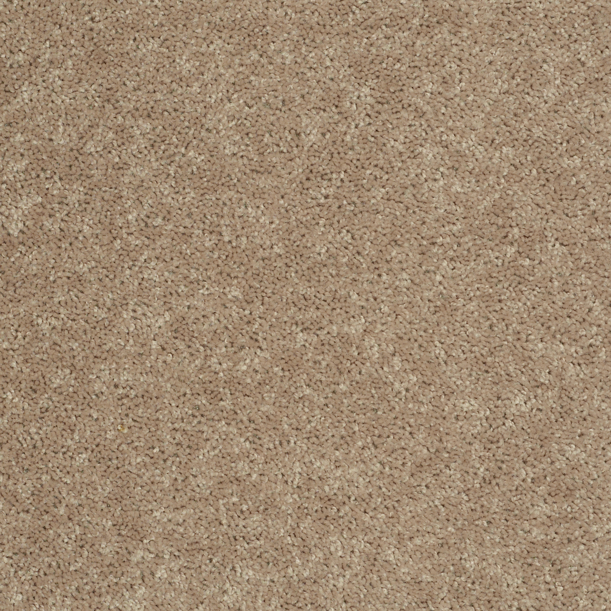 ROYAL PORTRUSH I 15 TASSEL MAIN