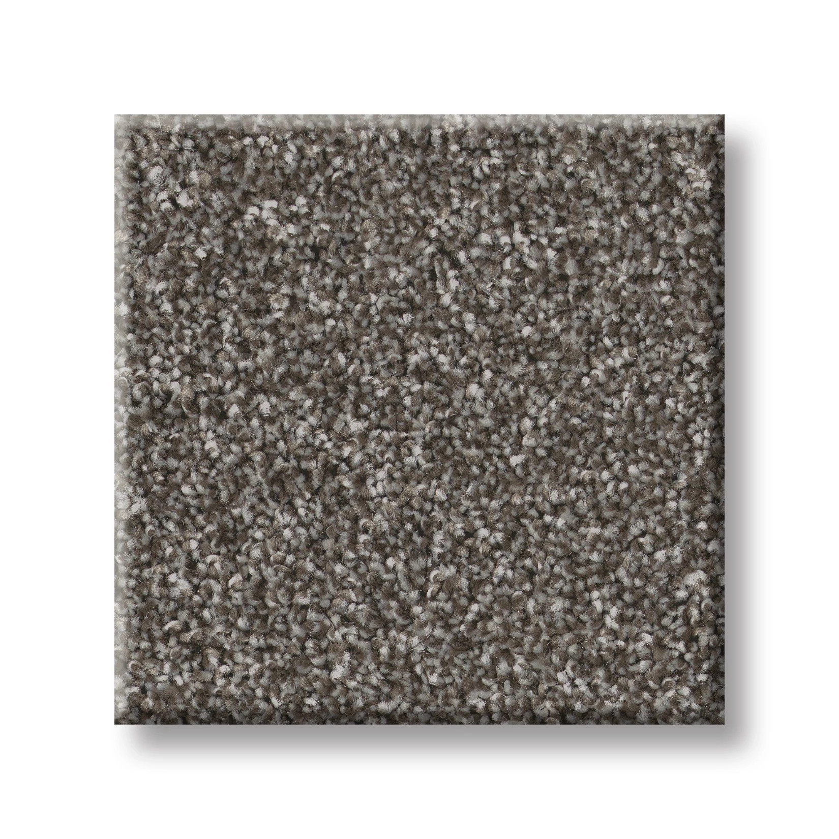 IMAGINABLE III SPARROW SWATCH