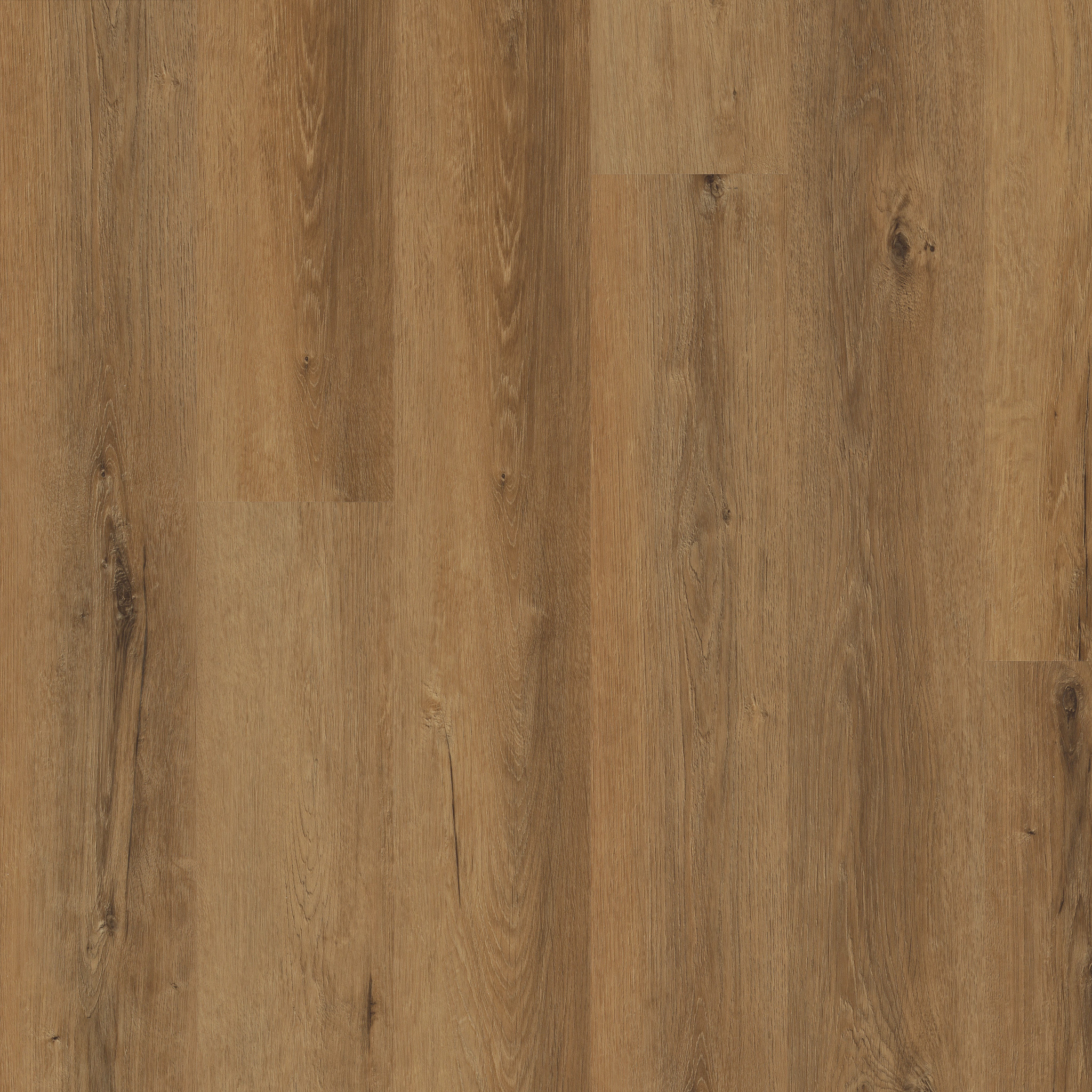 MALTESE RYE OAK MAIN