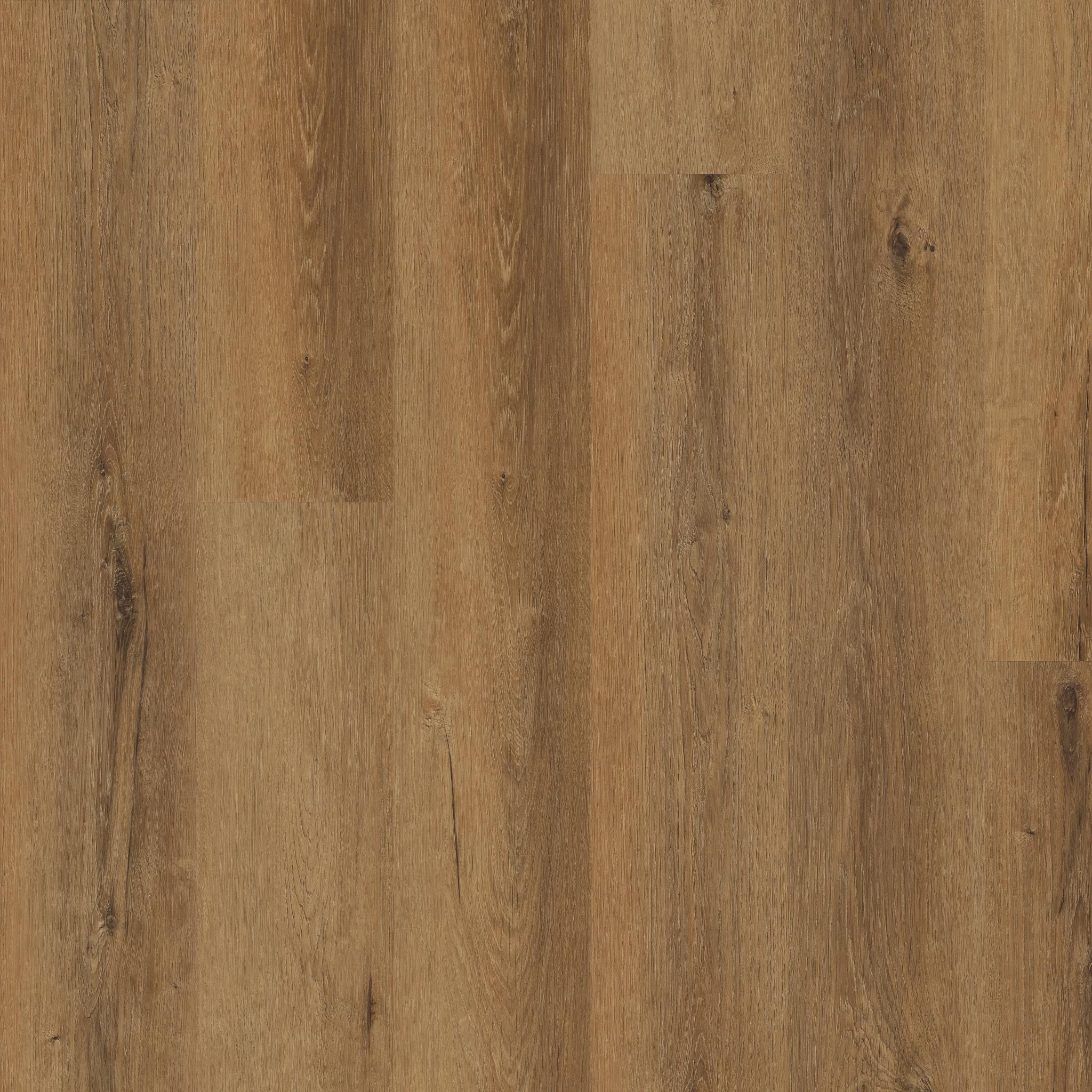 Maltese in Rye Oak