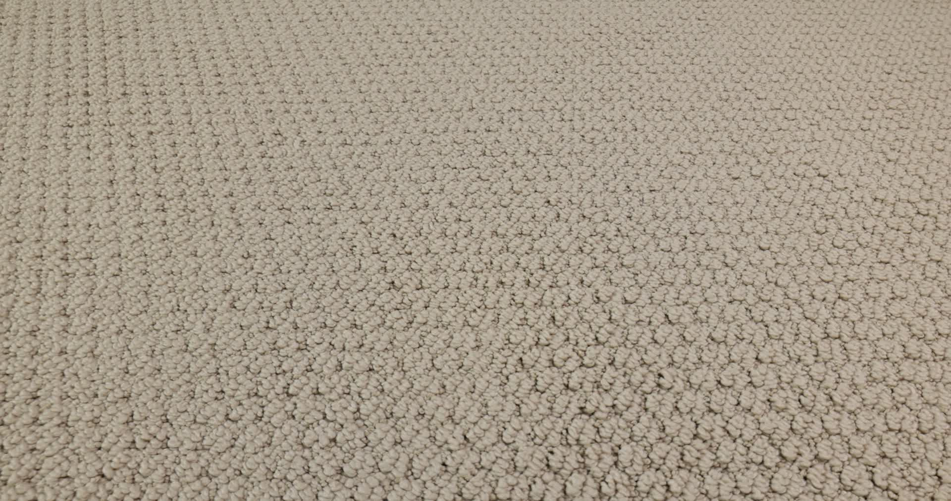 AG In The Loop COASTLAND 360PROD