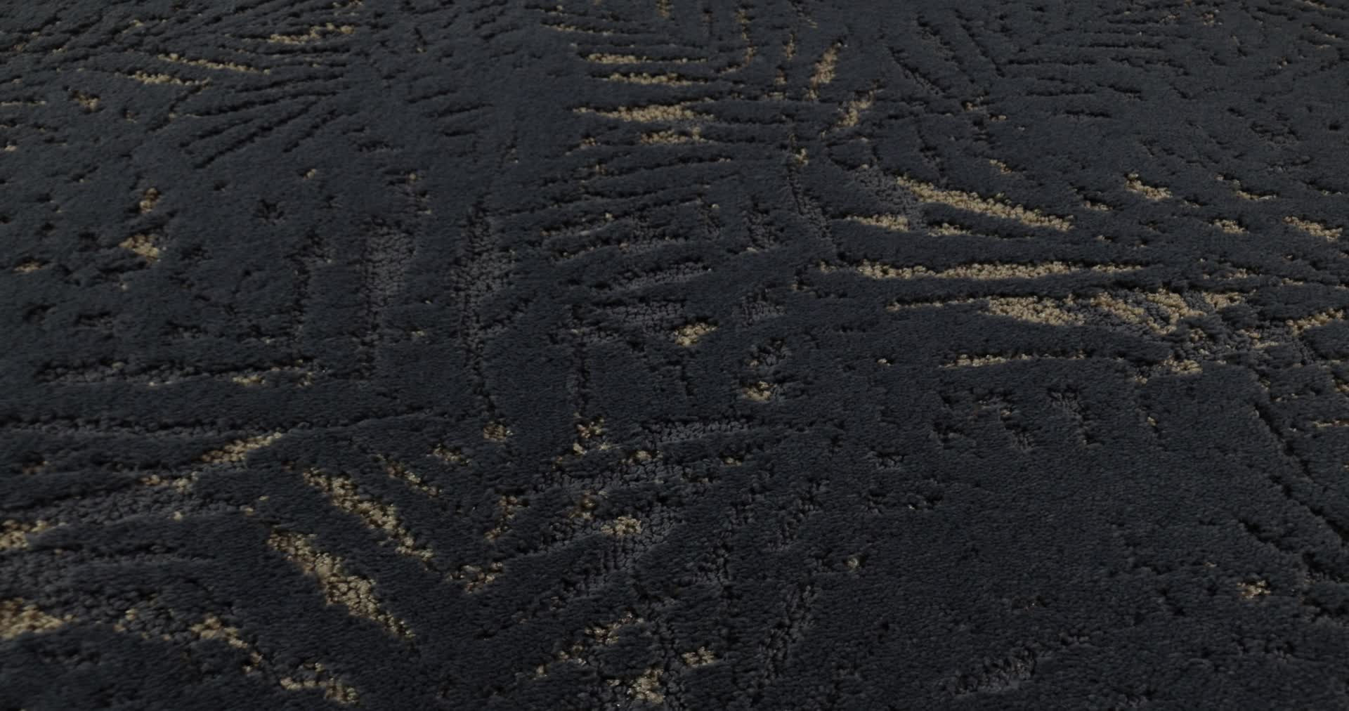 AUTOGRAPH STARRY SKY 360PROD