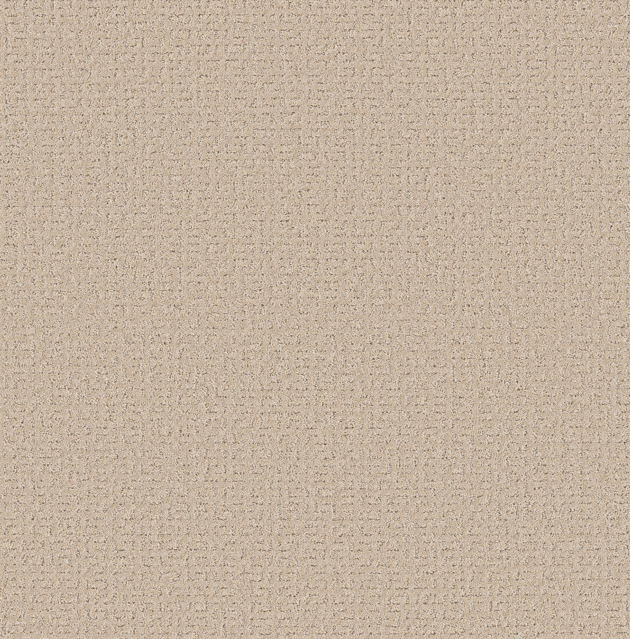 SECRET JOURNEY DUNE VIEW MAIN