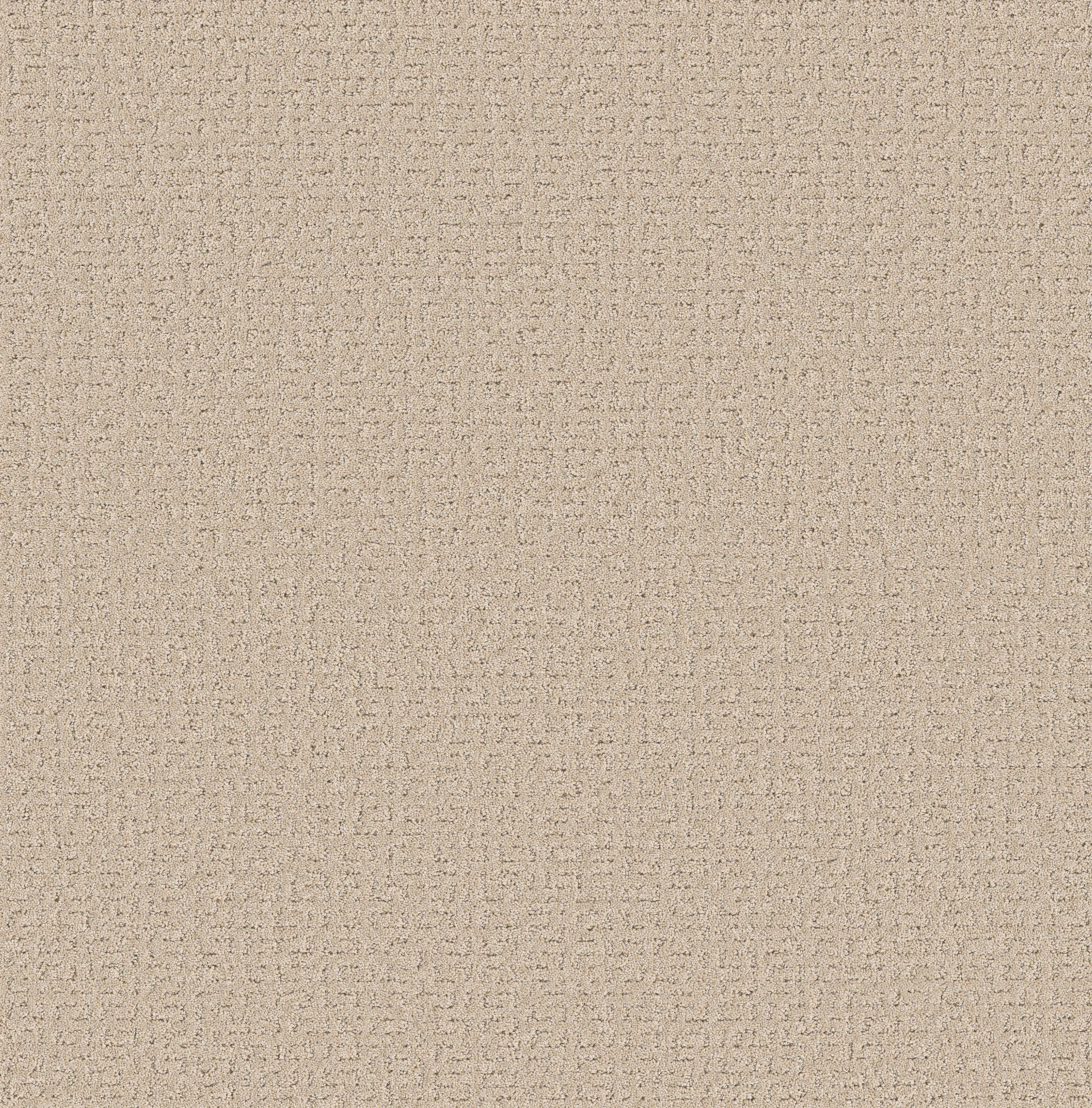Beige patterned carpet swatch showcasing a textured design for a cozy and durable home flooring option