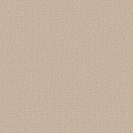 Beige Patterned Carpet - Durable and Cozy Home Flooring Beige patterned carpet swatch showcasing a textured design for a cozy and durable home flooring option