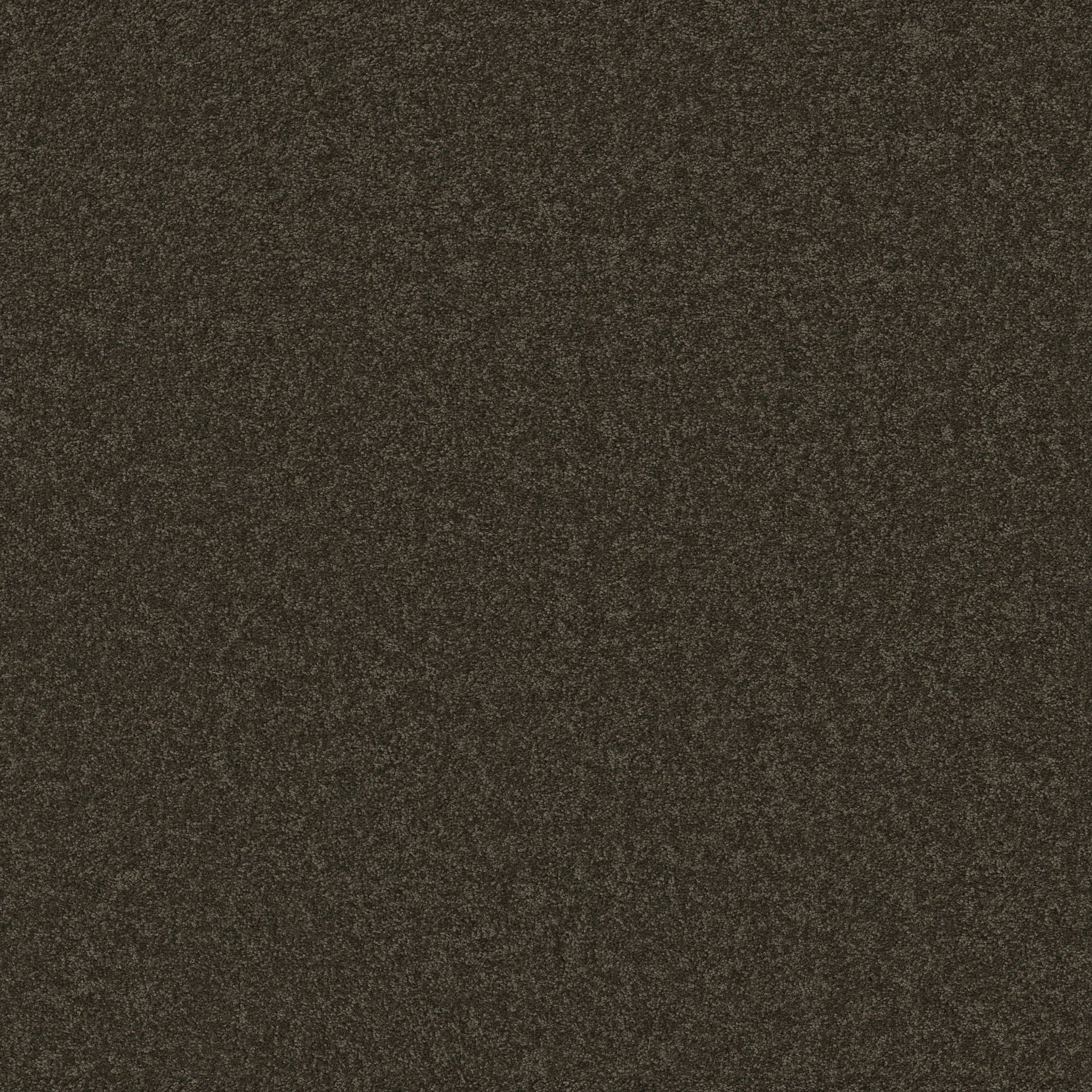 THAT'S RIGHT CABOT TRAIL MAIN