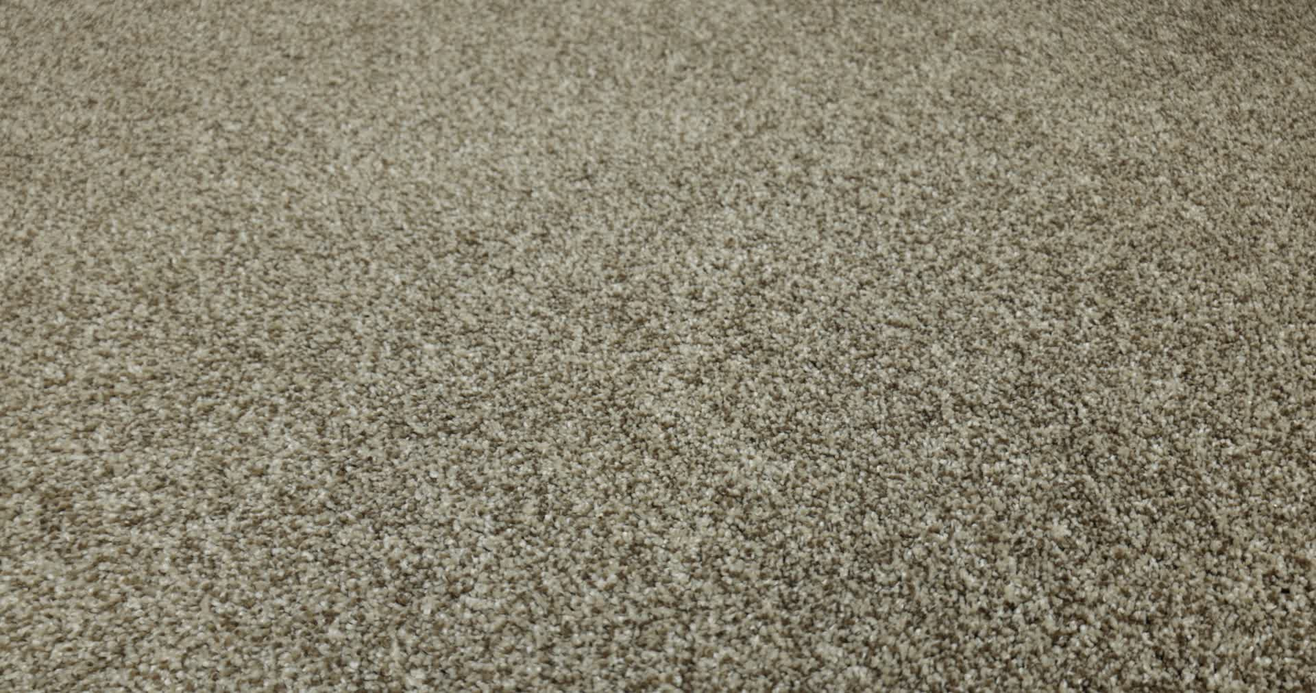 ARTISTIC FUSION II CAMEO 360PROD