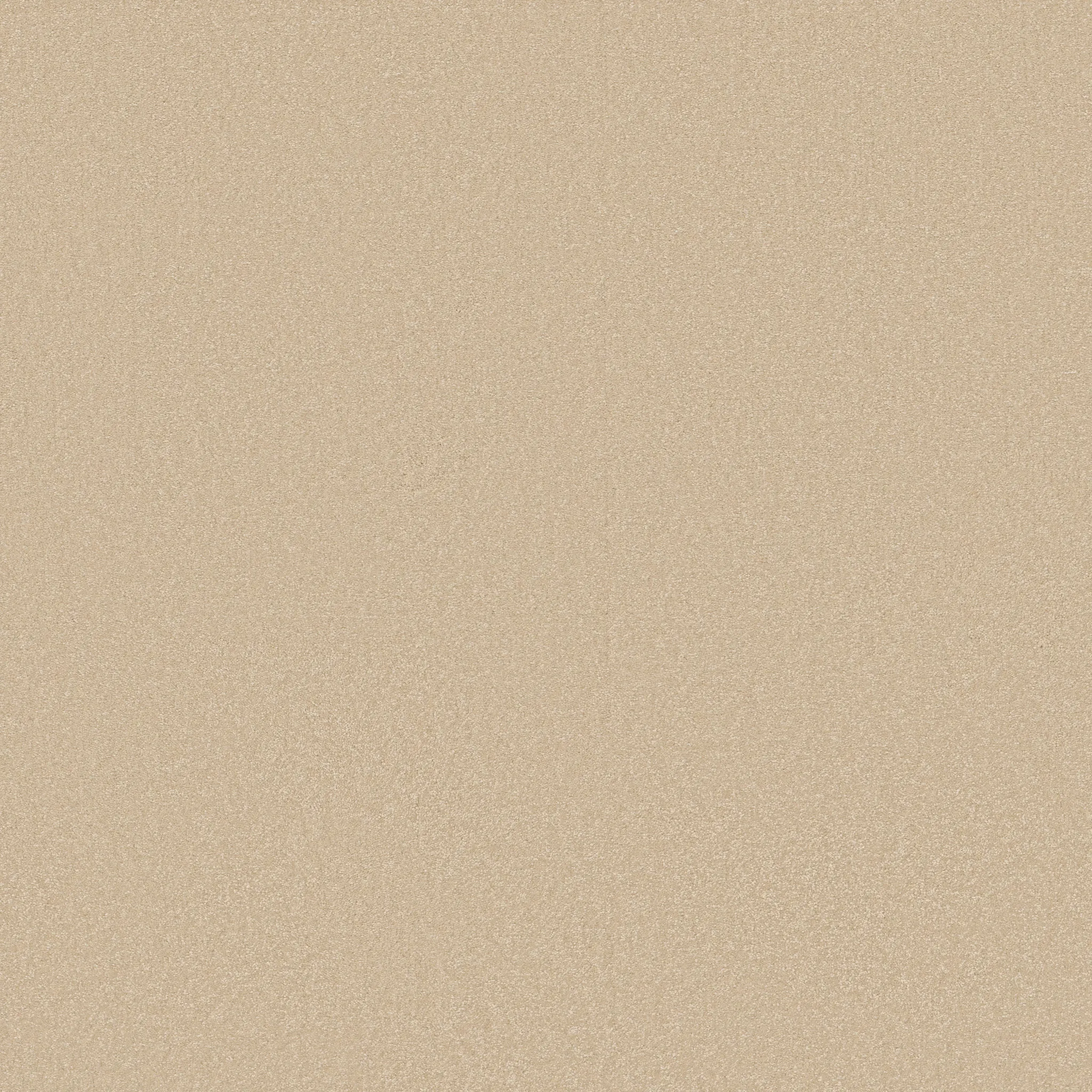 Beige carpet swatch showcasing a soft and durable texture ideal for everyday home comfort