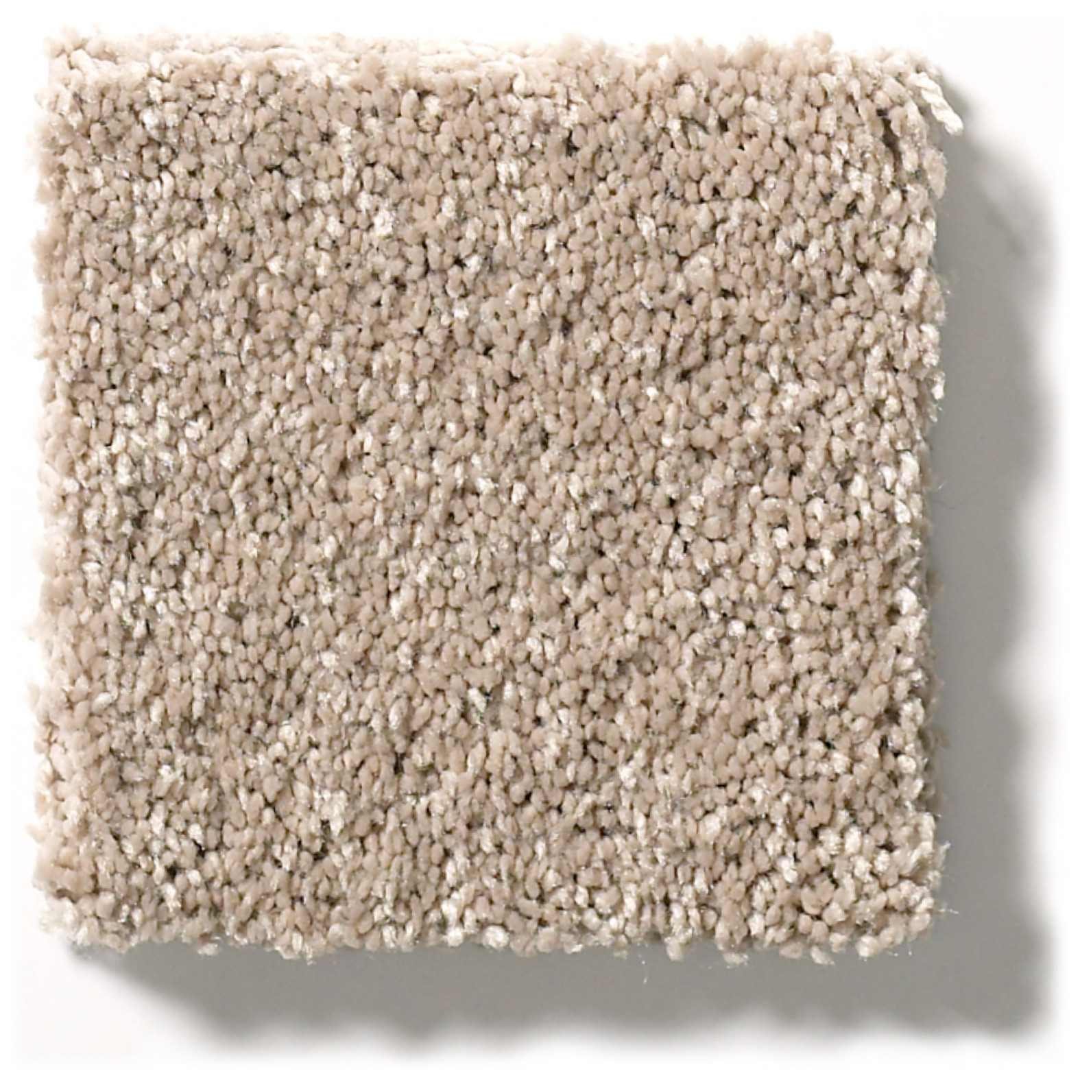 BASIC RULES TOAST SWATCH