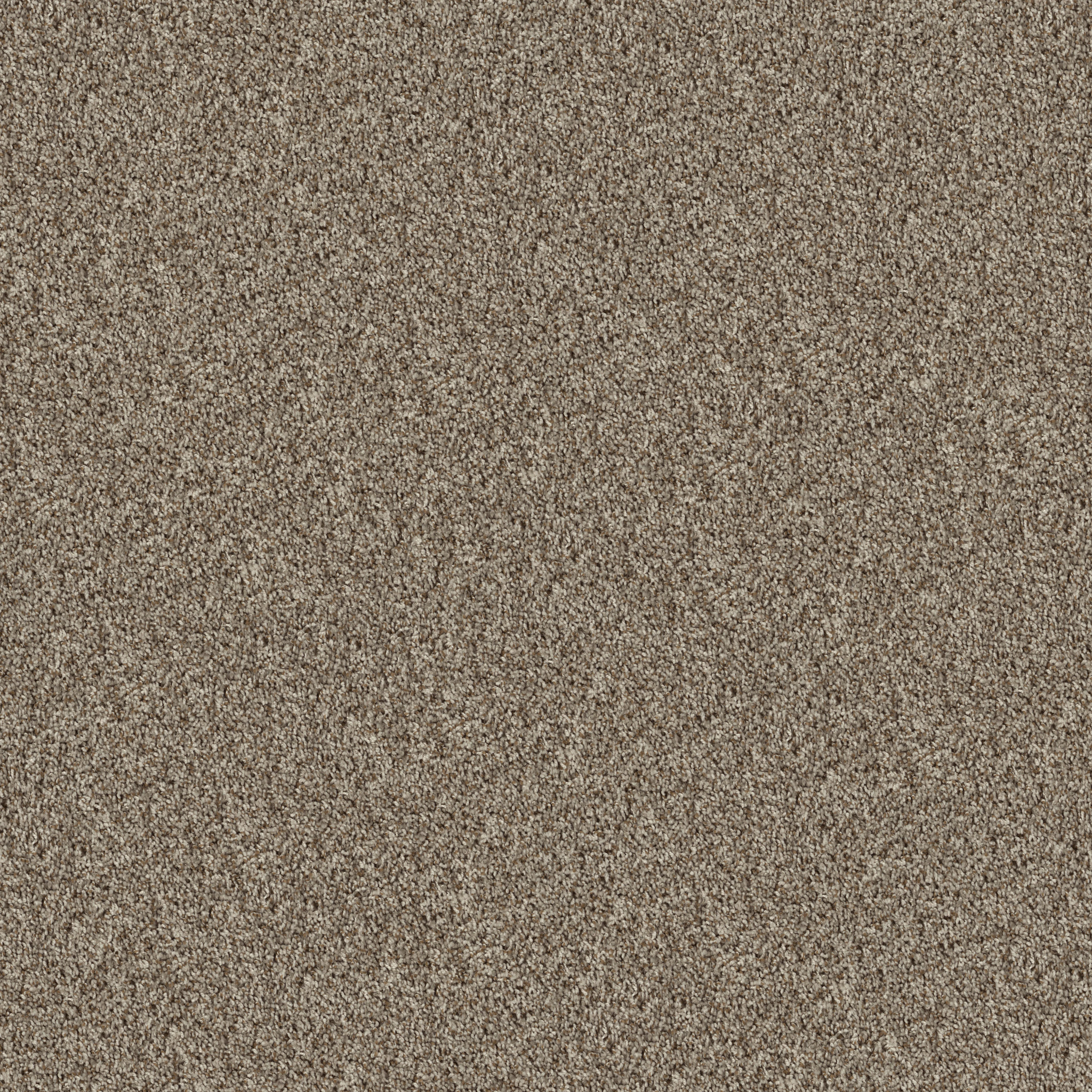 Break Away - Tonal ALMOND MAIN