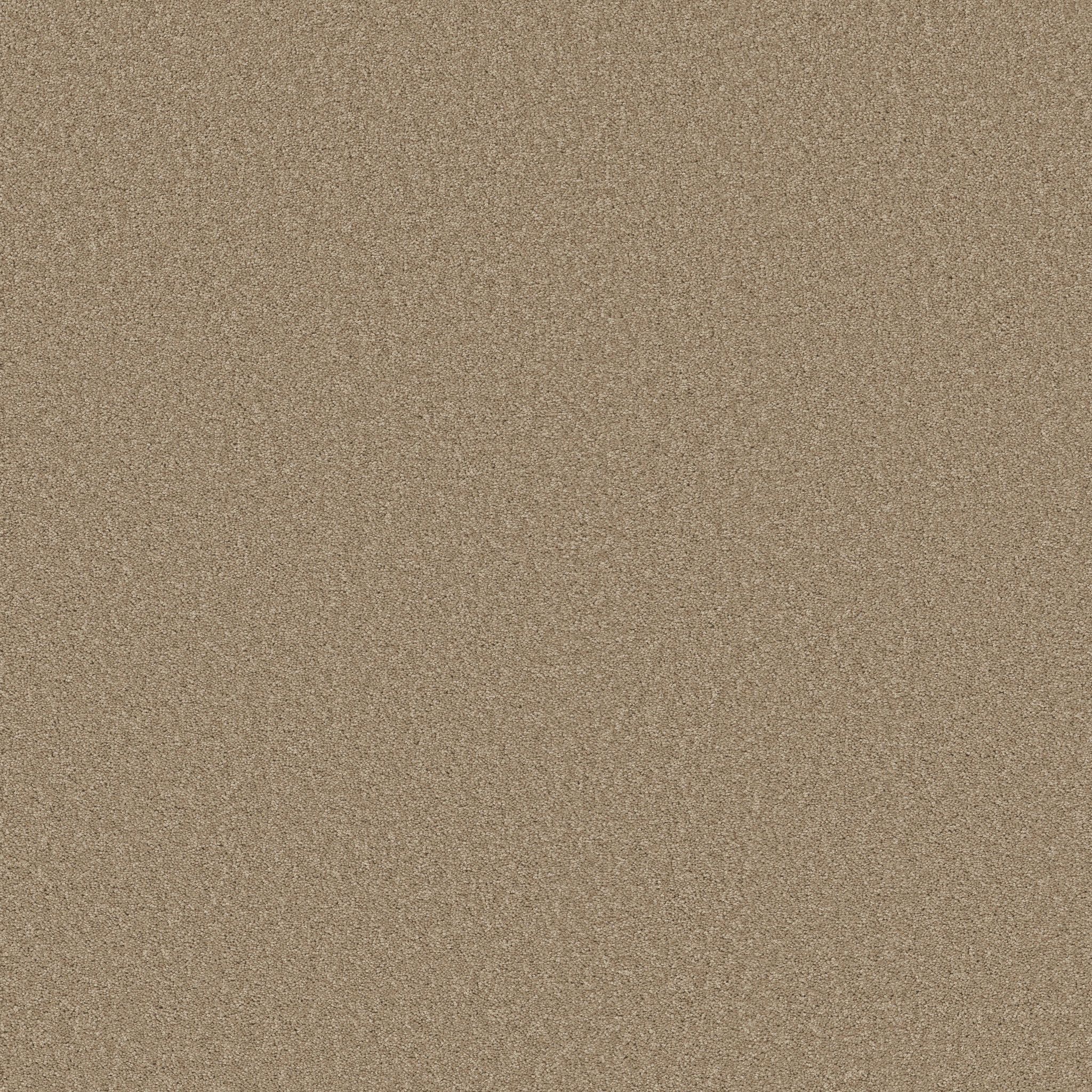 HONEST TO GOODNESS HICKORY MAIN