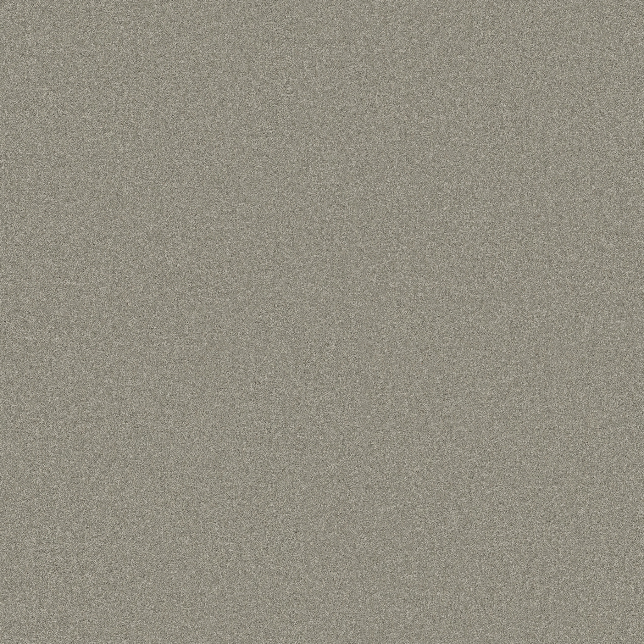 SHINGLE CREEK IV 15' SILVER CHARM MAIN