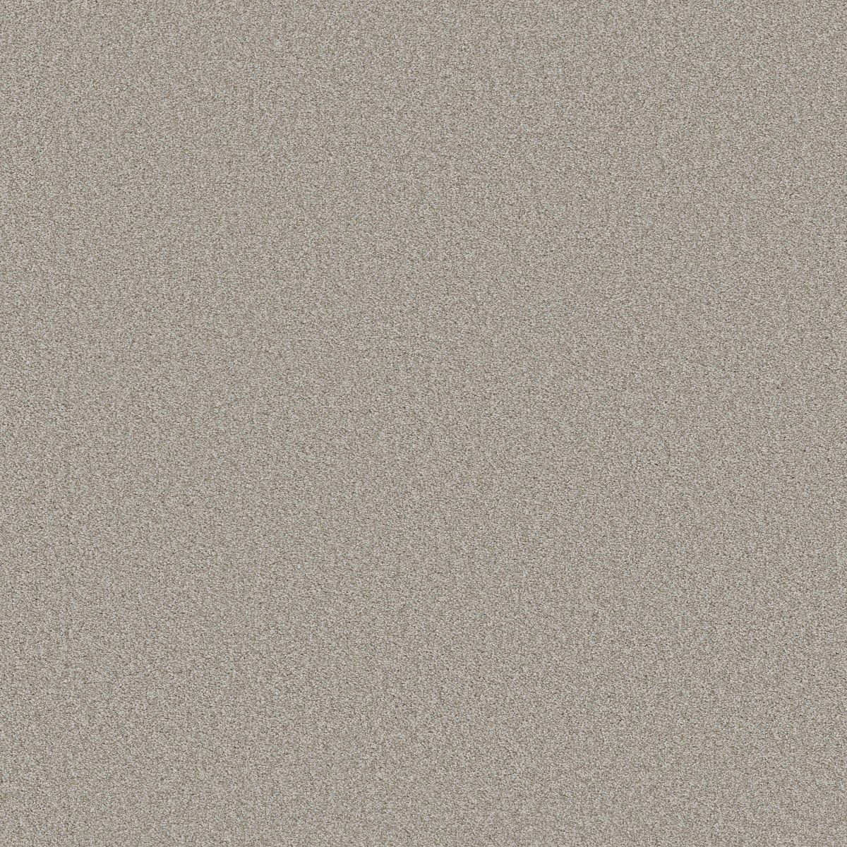 Shaw Floors HARMONIOUS I — BALTIC STONE