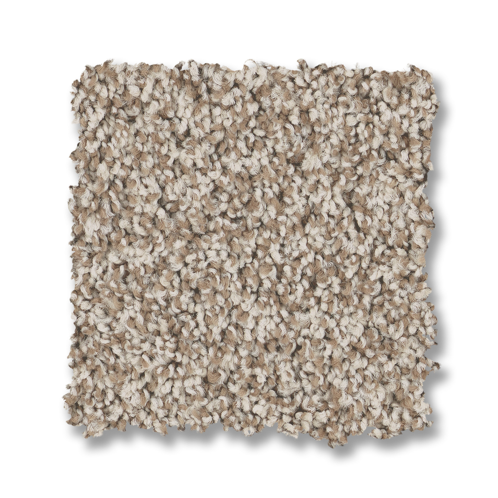 TERRA NOVA SPUN COTTON SWATCH