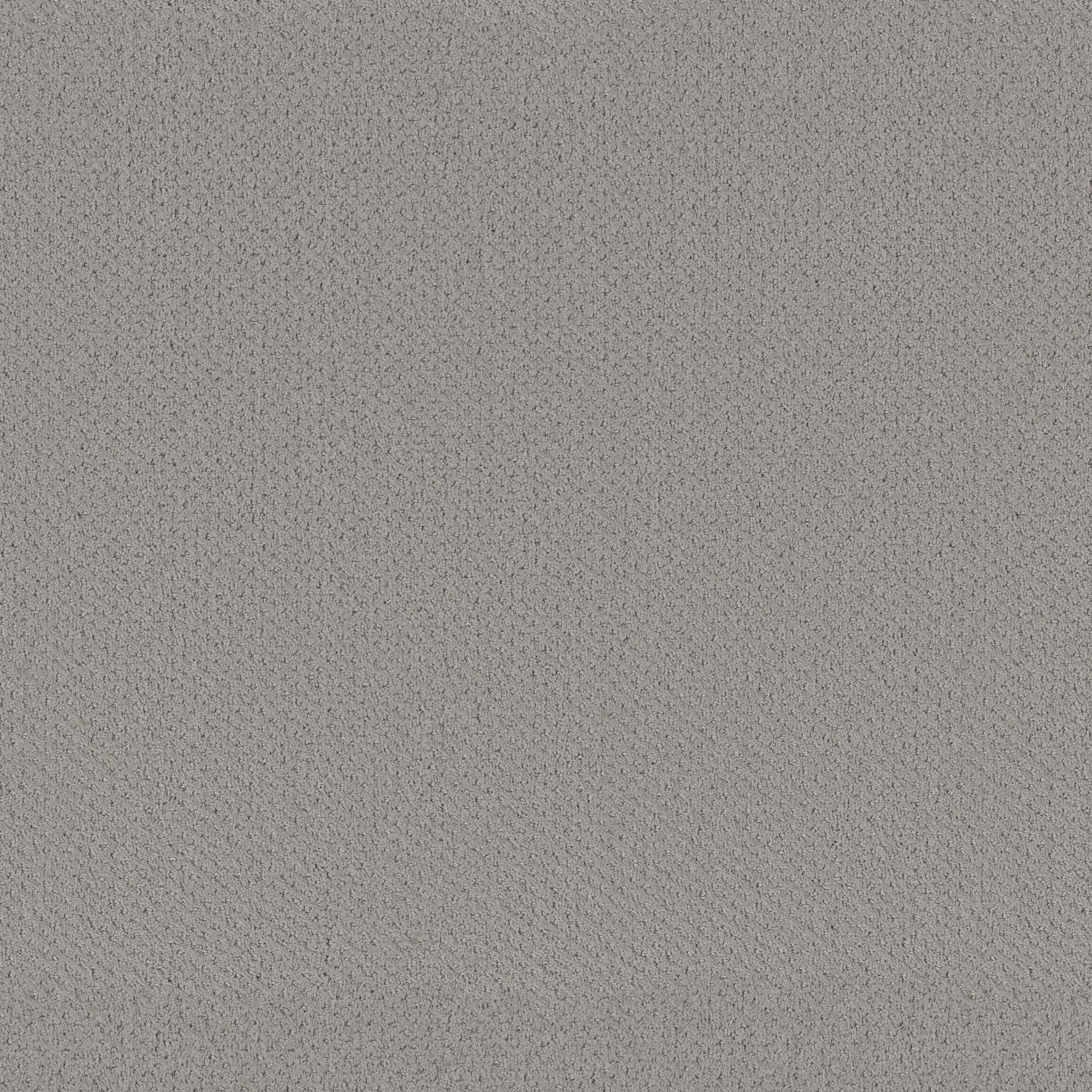 INFALLIBLE INSTINCT SILHOUETTE MAIN