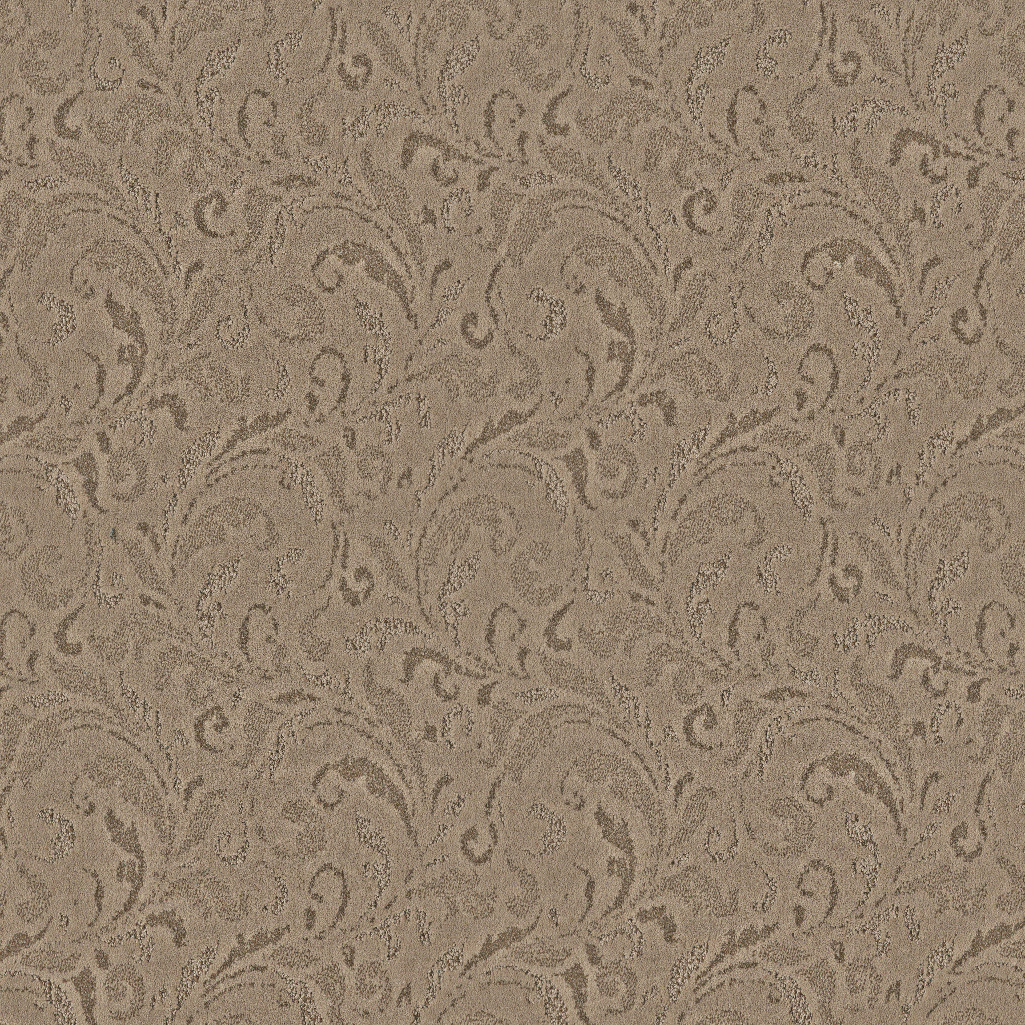 【GRASS ROOTS】TVモデル【バイソン柄】 Buy Anderson Tuftex Nylon Residential Carpet at Georgia