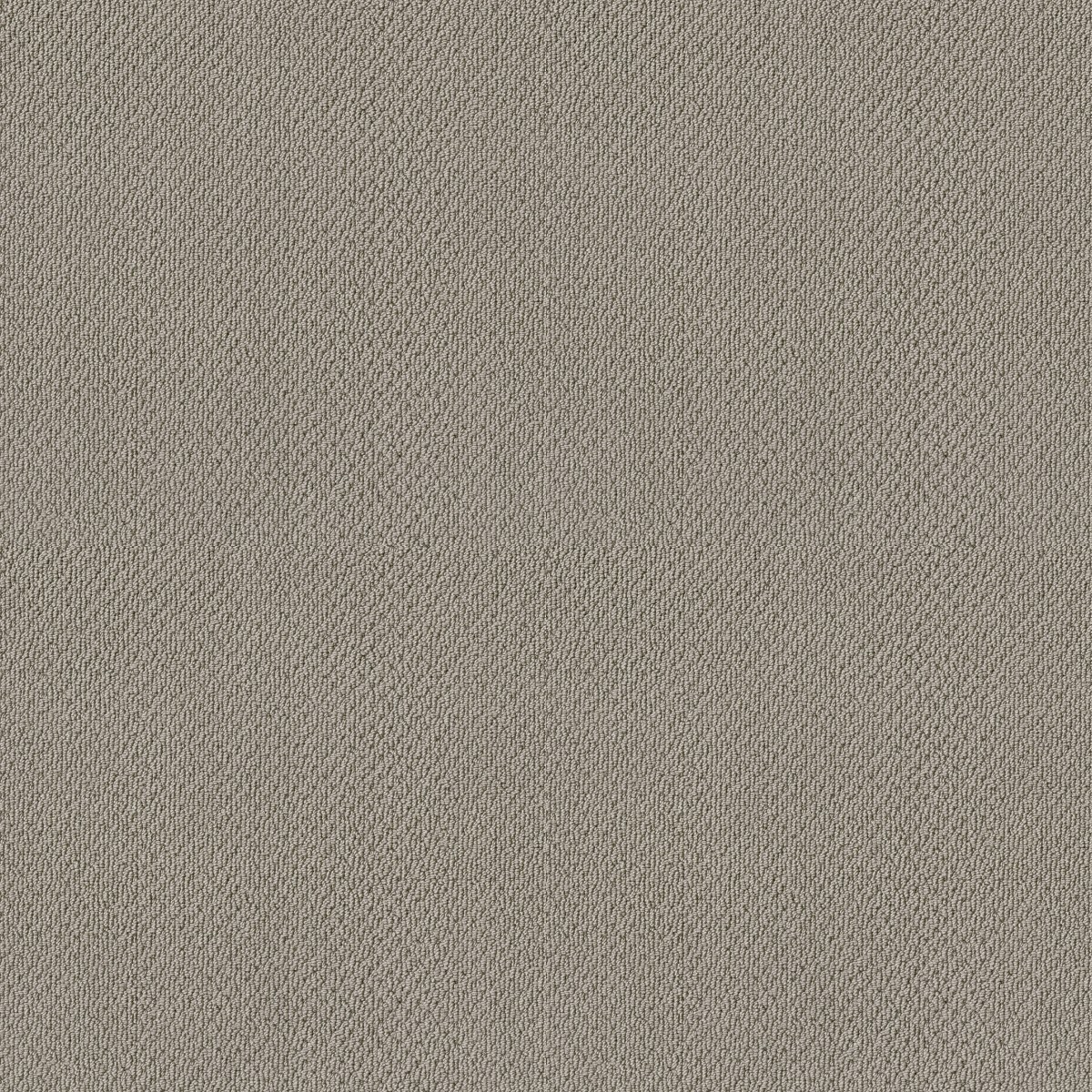 Shaw Floors TRULY RELAXED LOOP — ASH