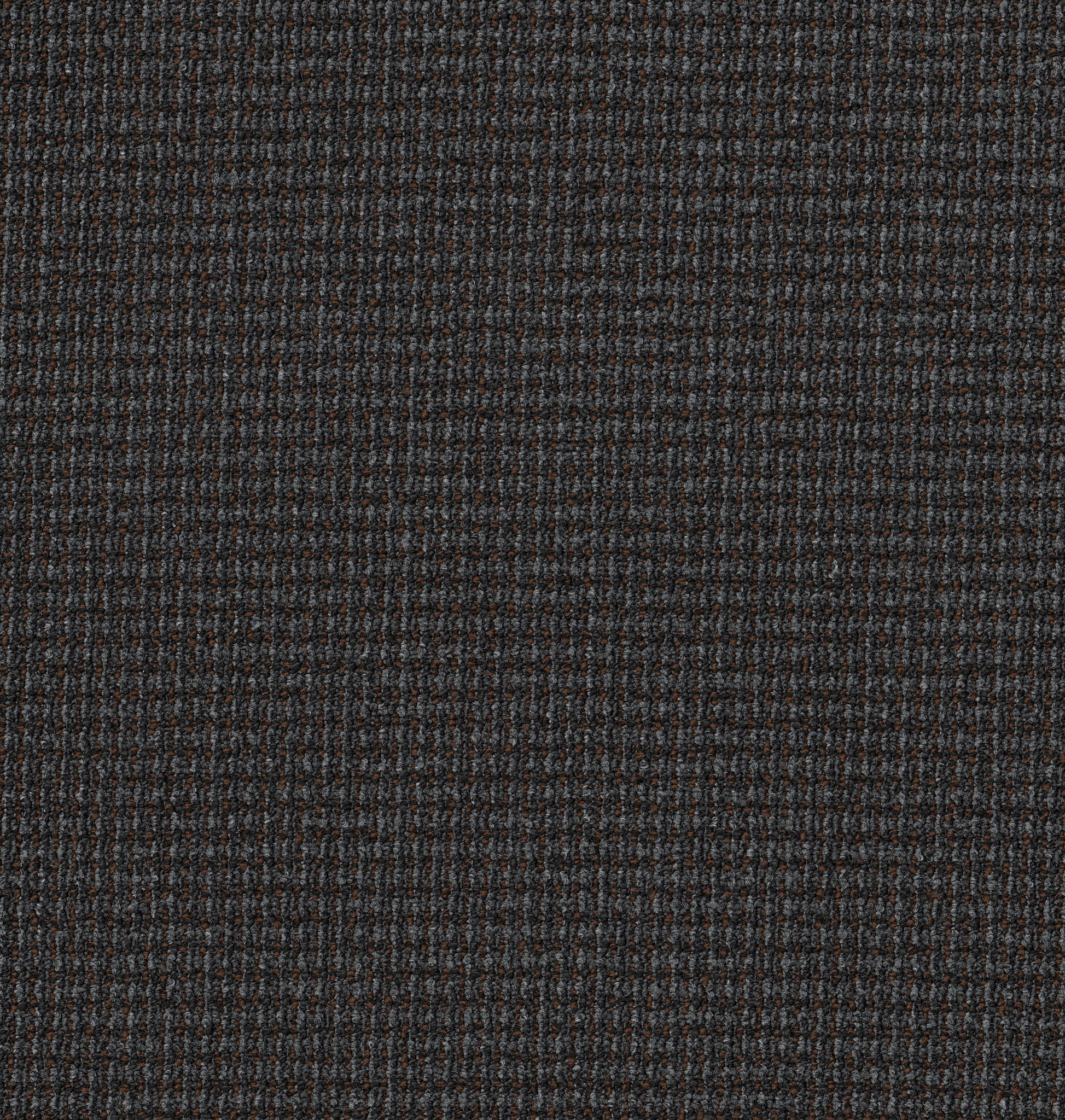 FREE-PRESS-54985-ANNOUNCE-00510-main-image