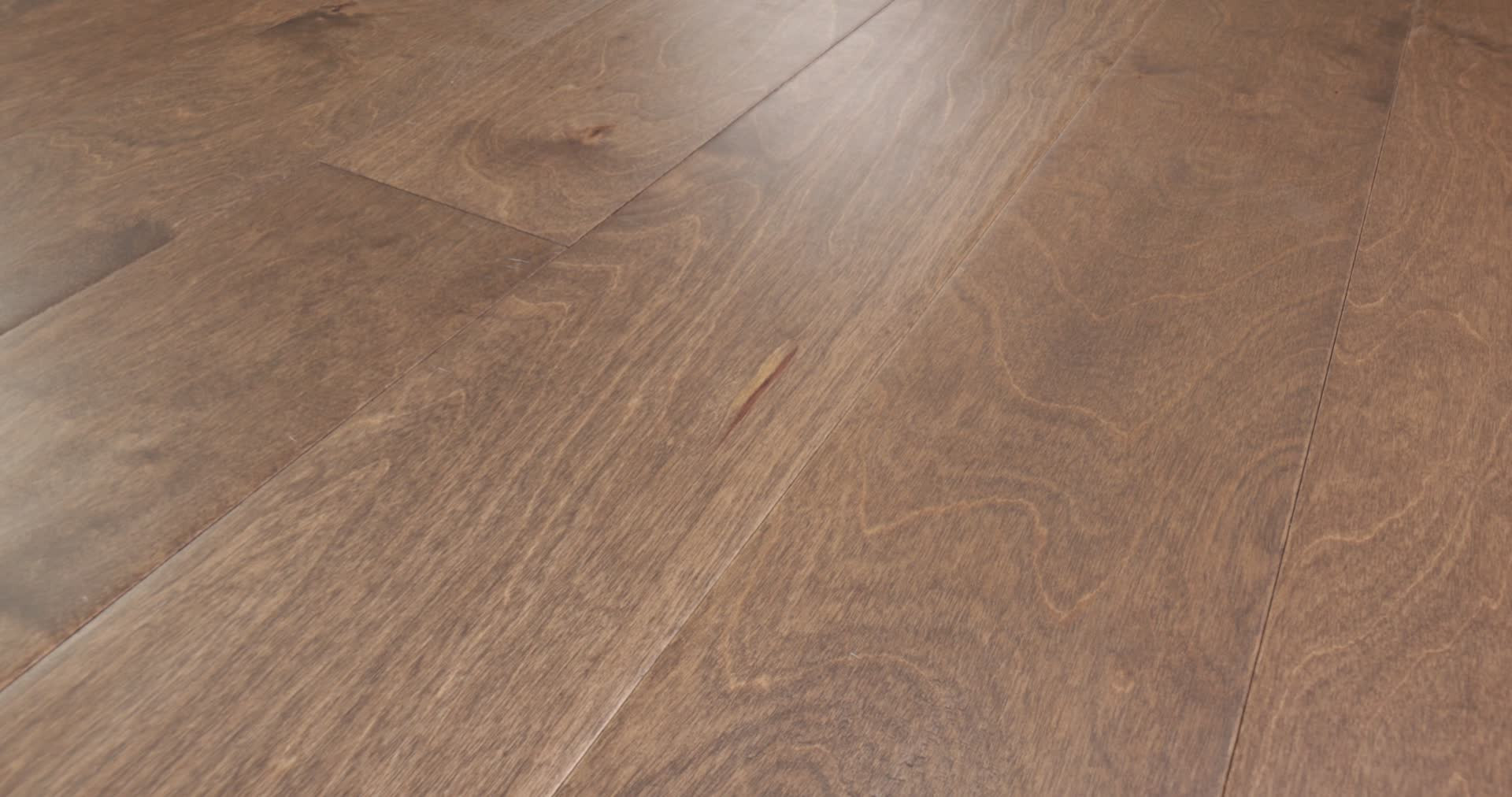 BISCAYNE BAY LOW TIDE 360PROD