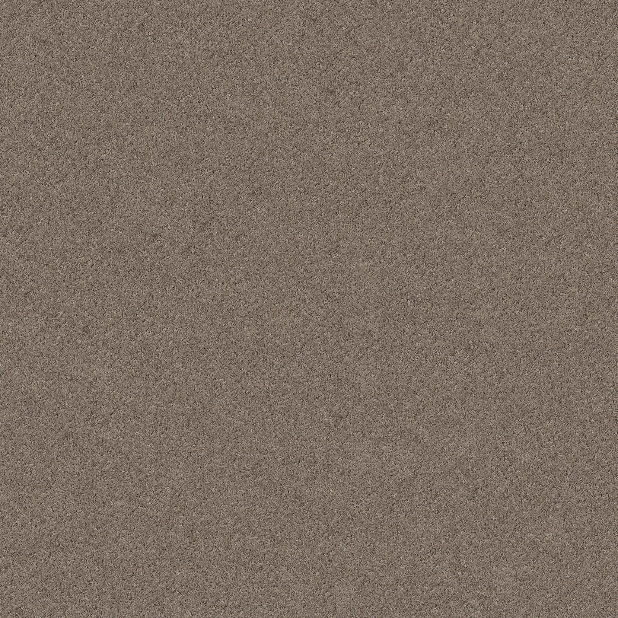 CHIC SHADES RIDGEVIEW MAIN