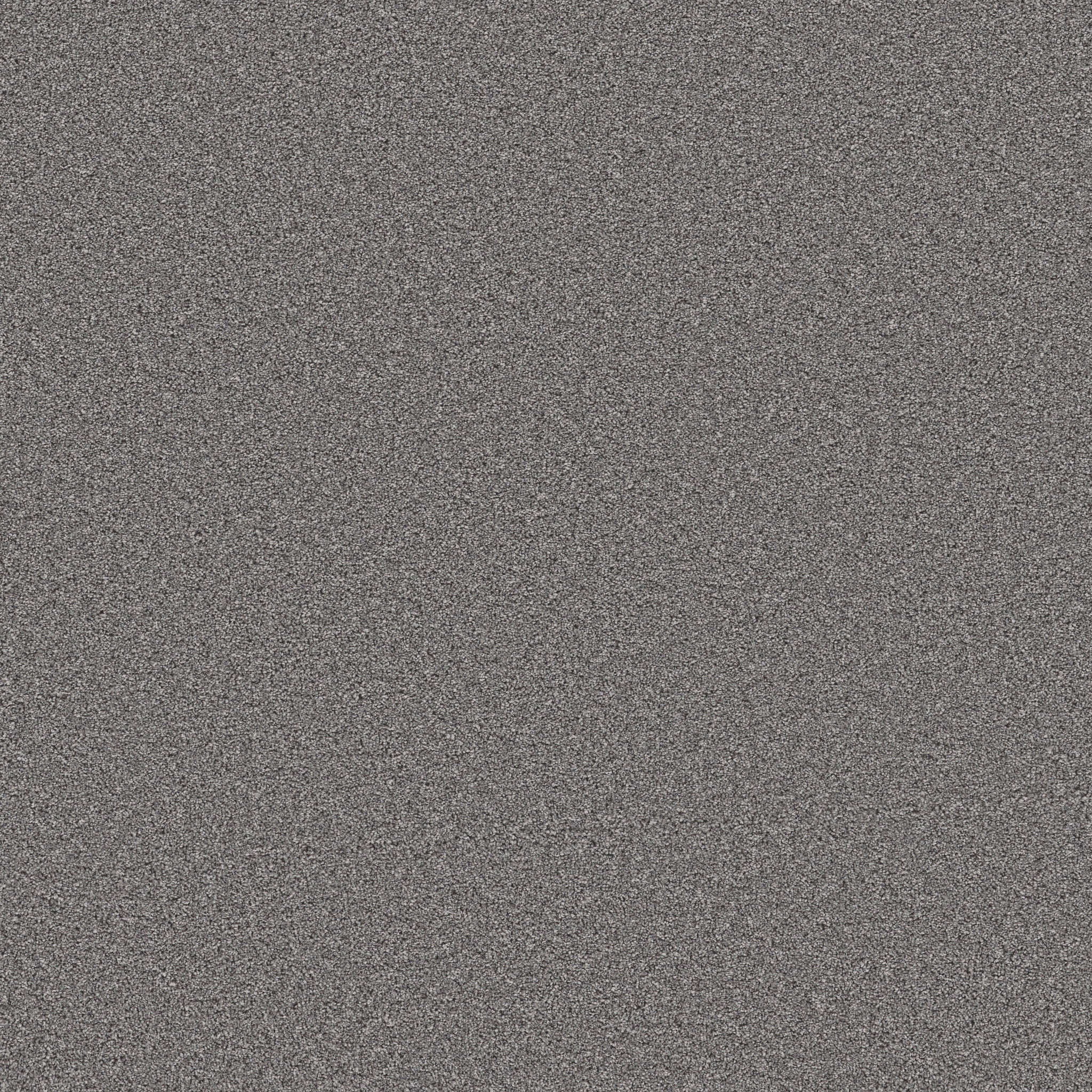 WONDERLAND III 12' COOL WIND MAIN