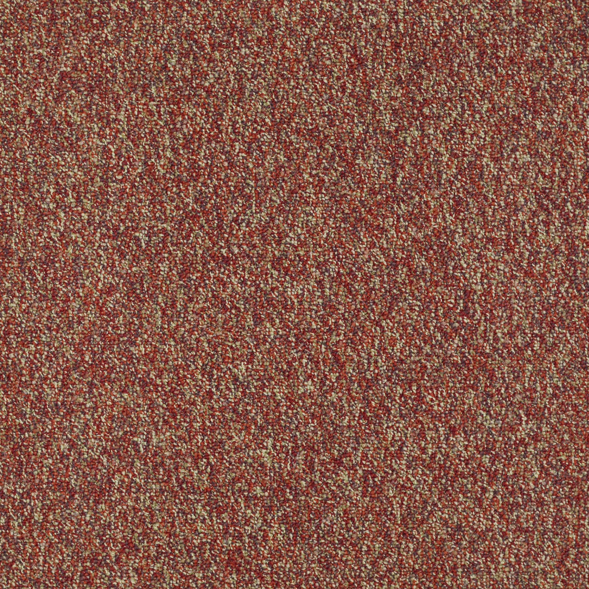 FRANCHISE-II-26-54745-RAISINBERRY-00820-main-image