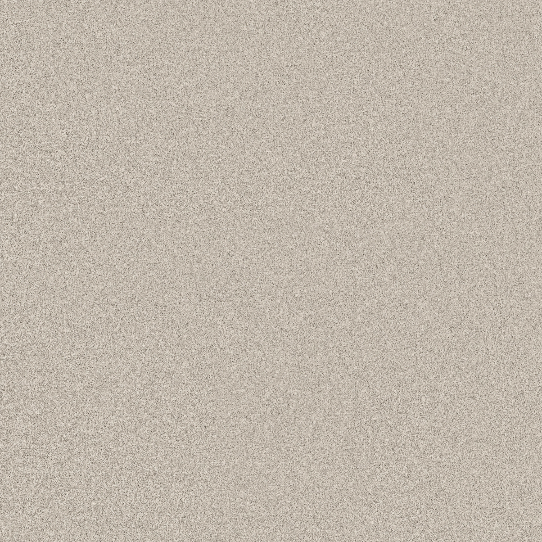 SMOOTH TONE COOL WINTER MAIN