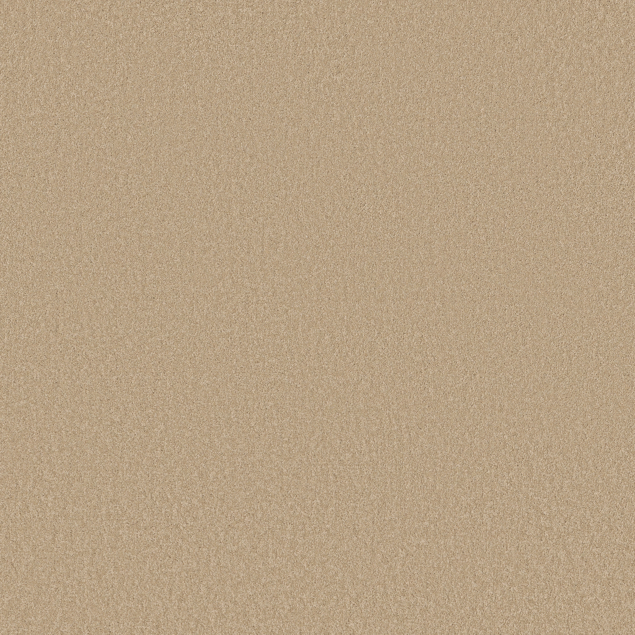 TIMELESS APPEAL I 12' CASHEW MAIN