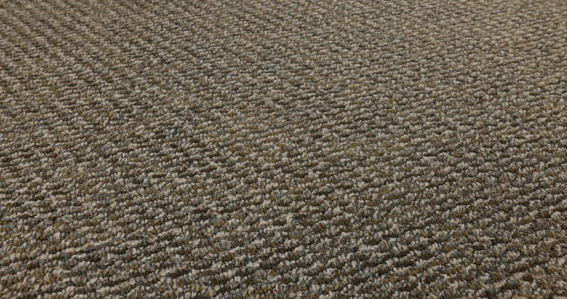 Blog Wild Rice Rotation360